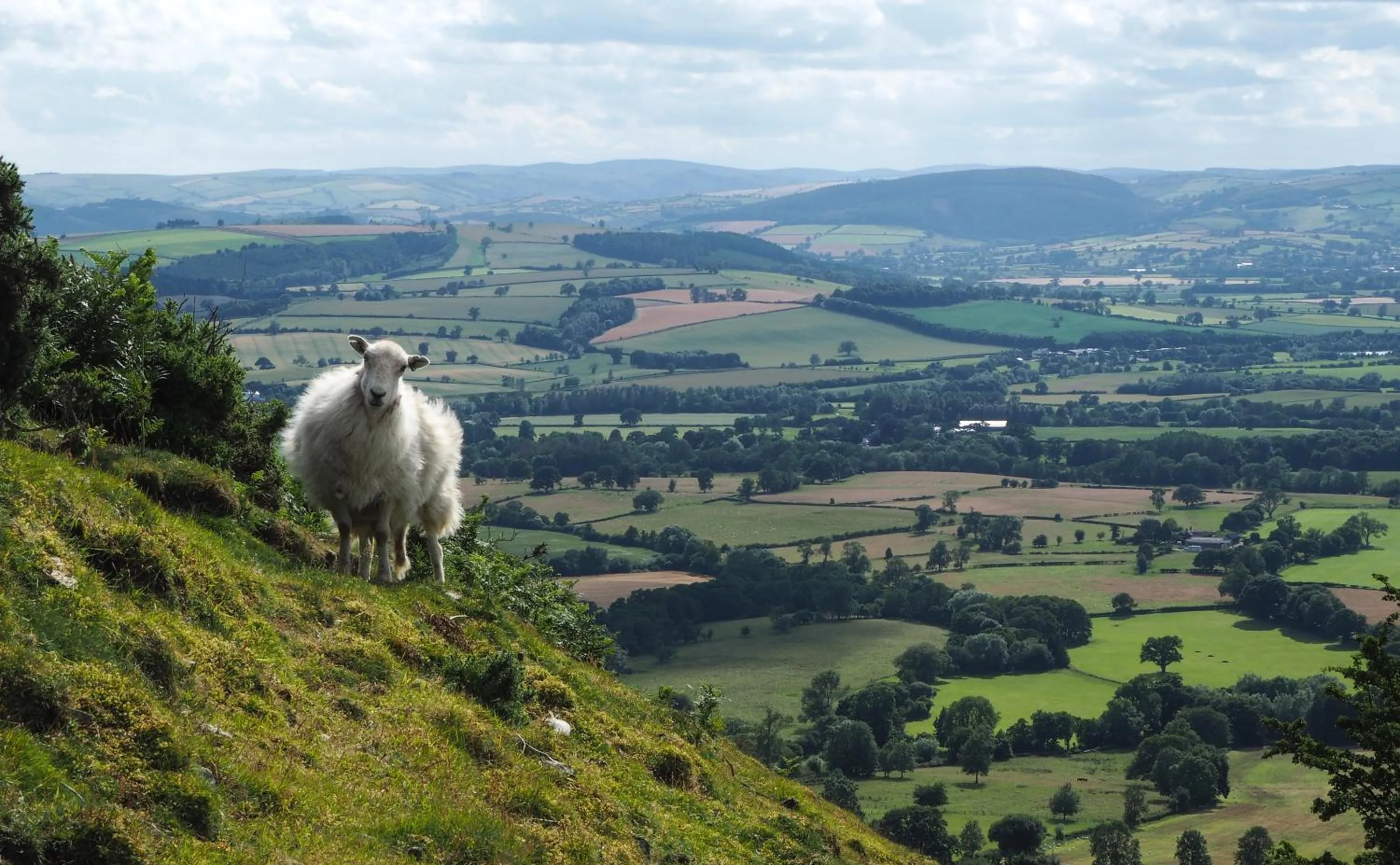 Hiking in Bank House B&B