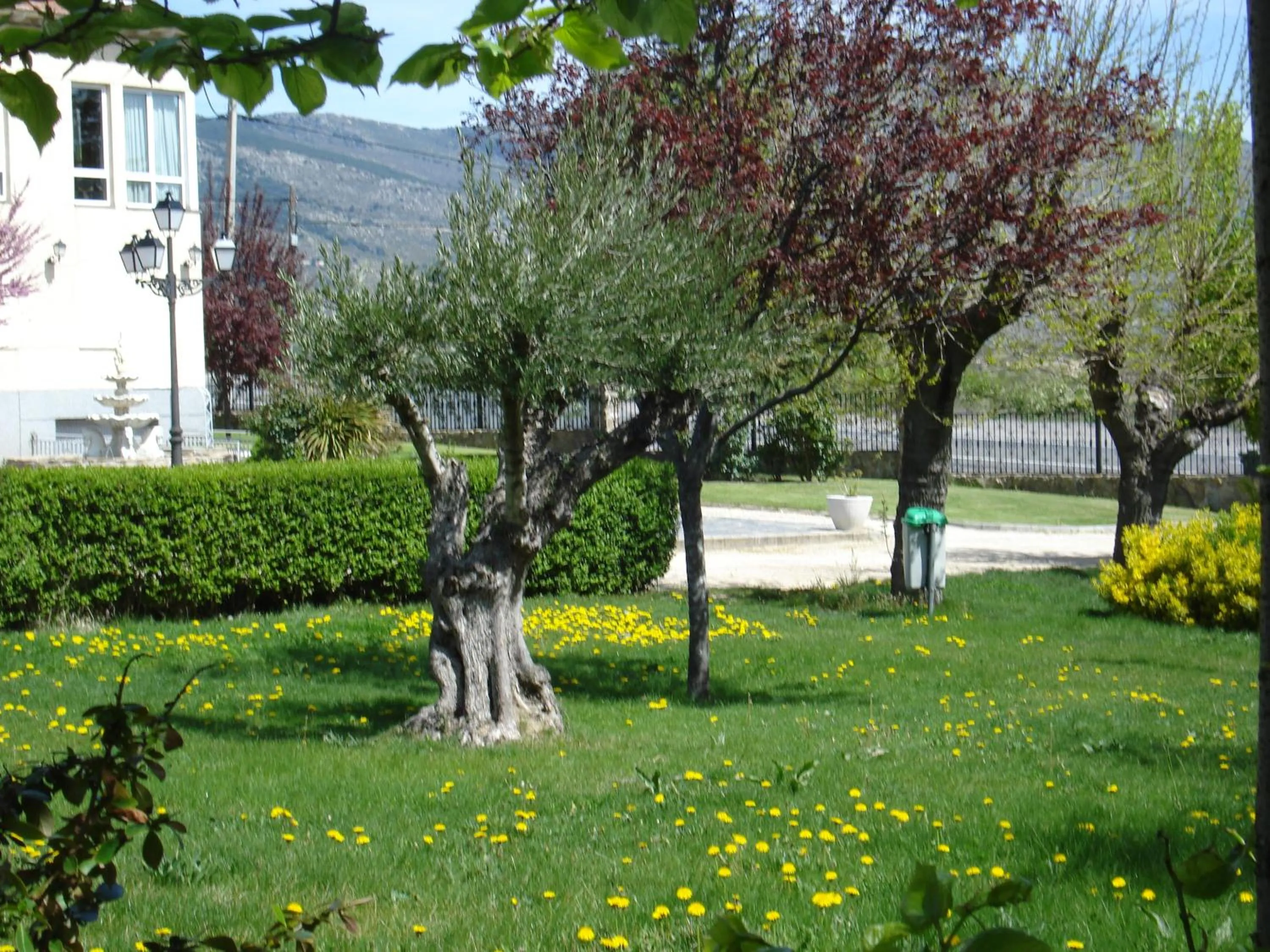 Garden view in Hotel Sierra Oriente
