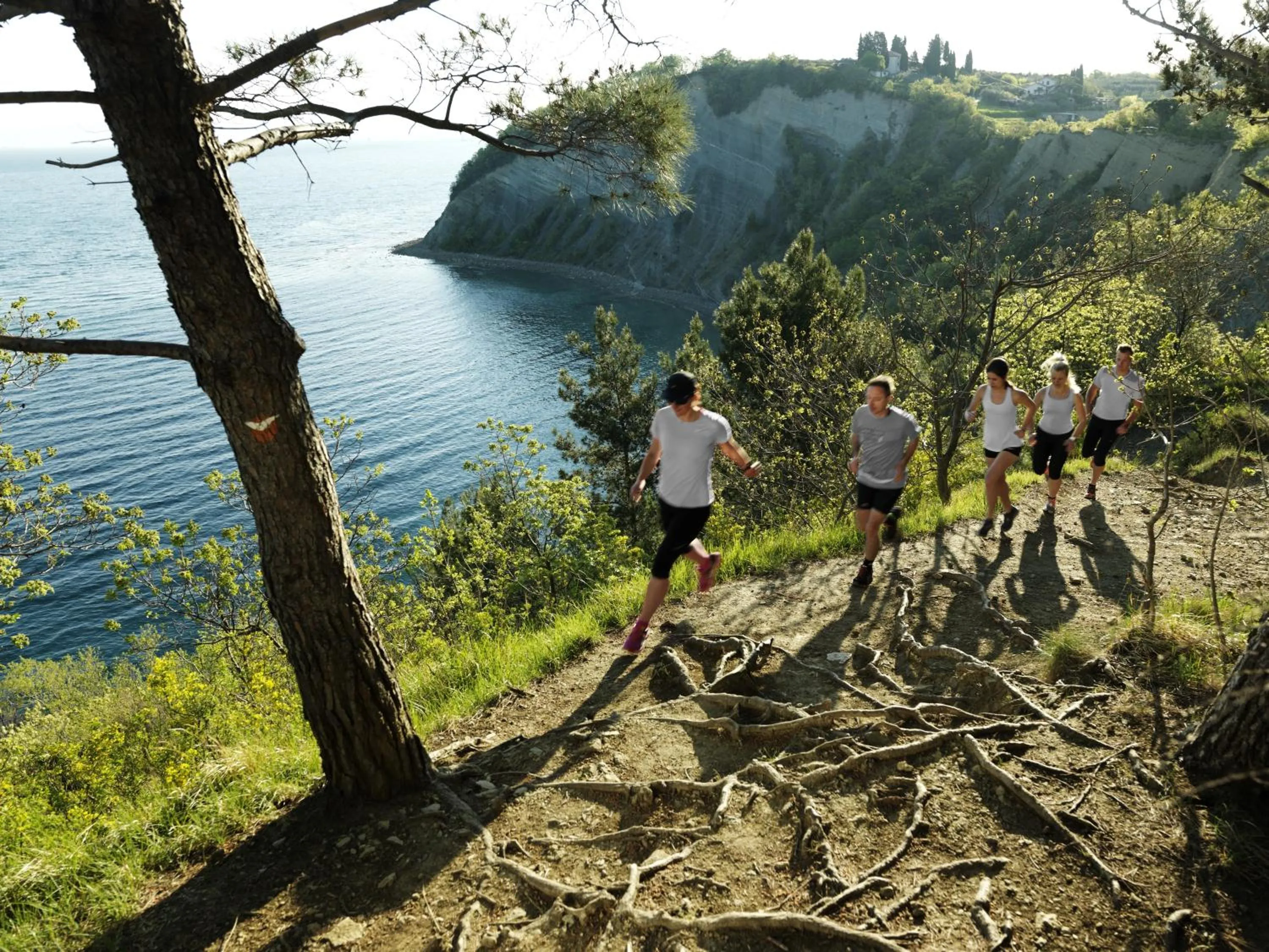 Natural landscape in Wellness Hotel Apollo – Terme & Wellness LifeClass