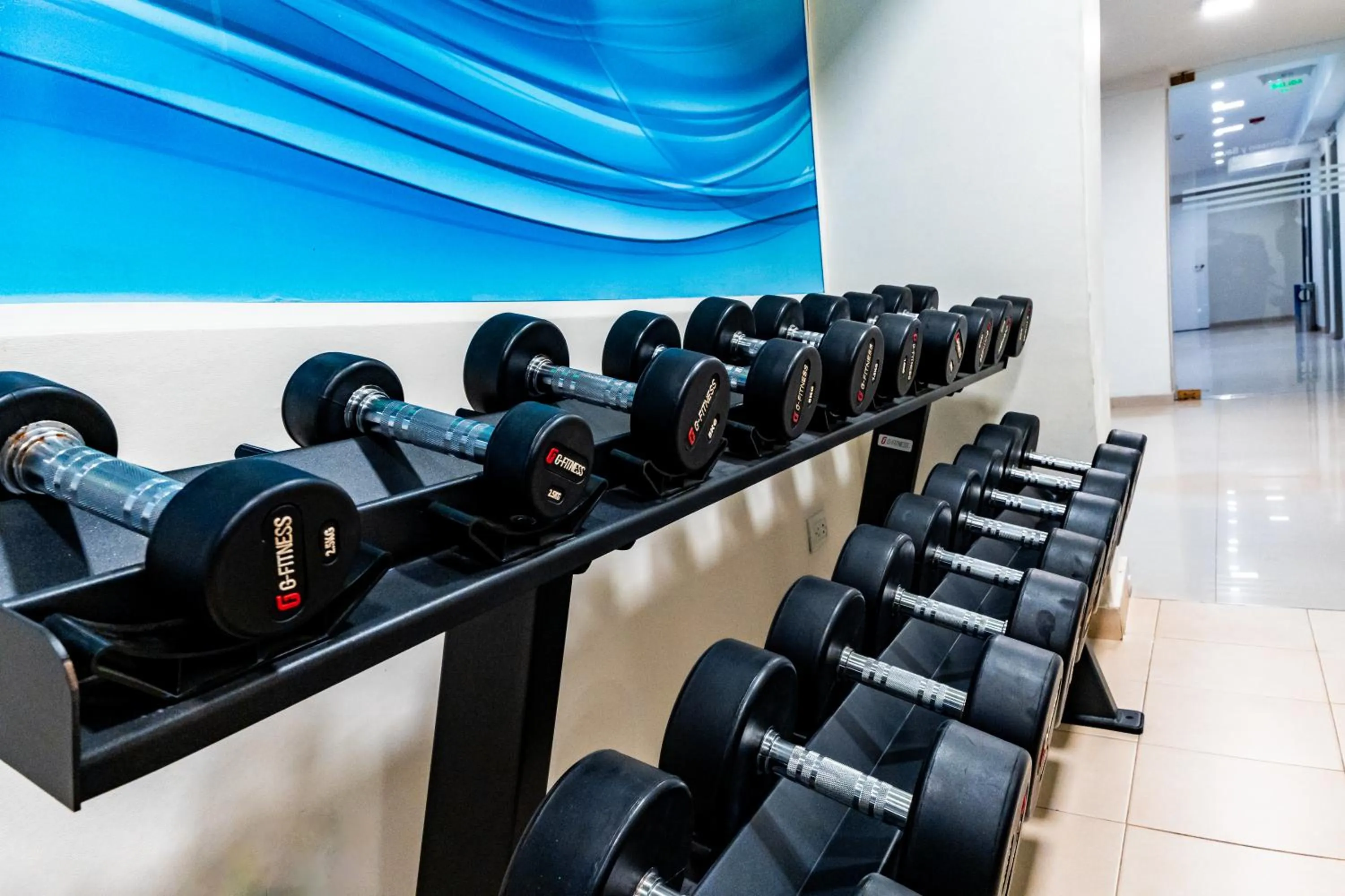 Fitness centre/facilities in Holiday Inn Express Rosario by IHG
