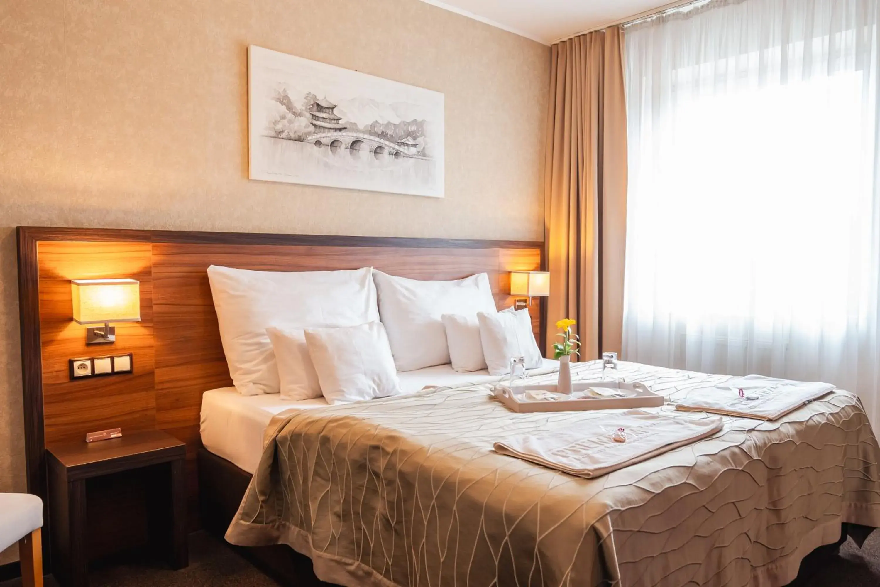 Comfort Double or Twin Room in PREMIUM Business Hotel Bratislava Comfort Double or Twin Room in PREMIUM Business Hotel Bratislava