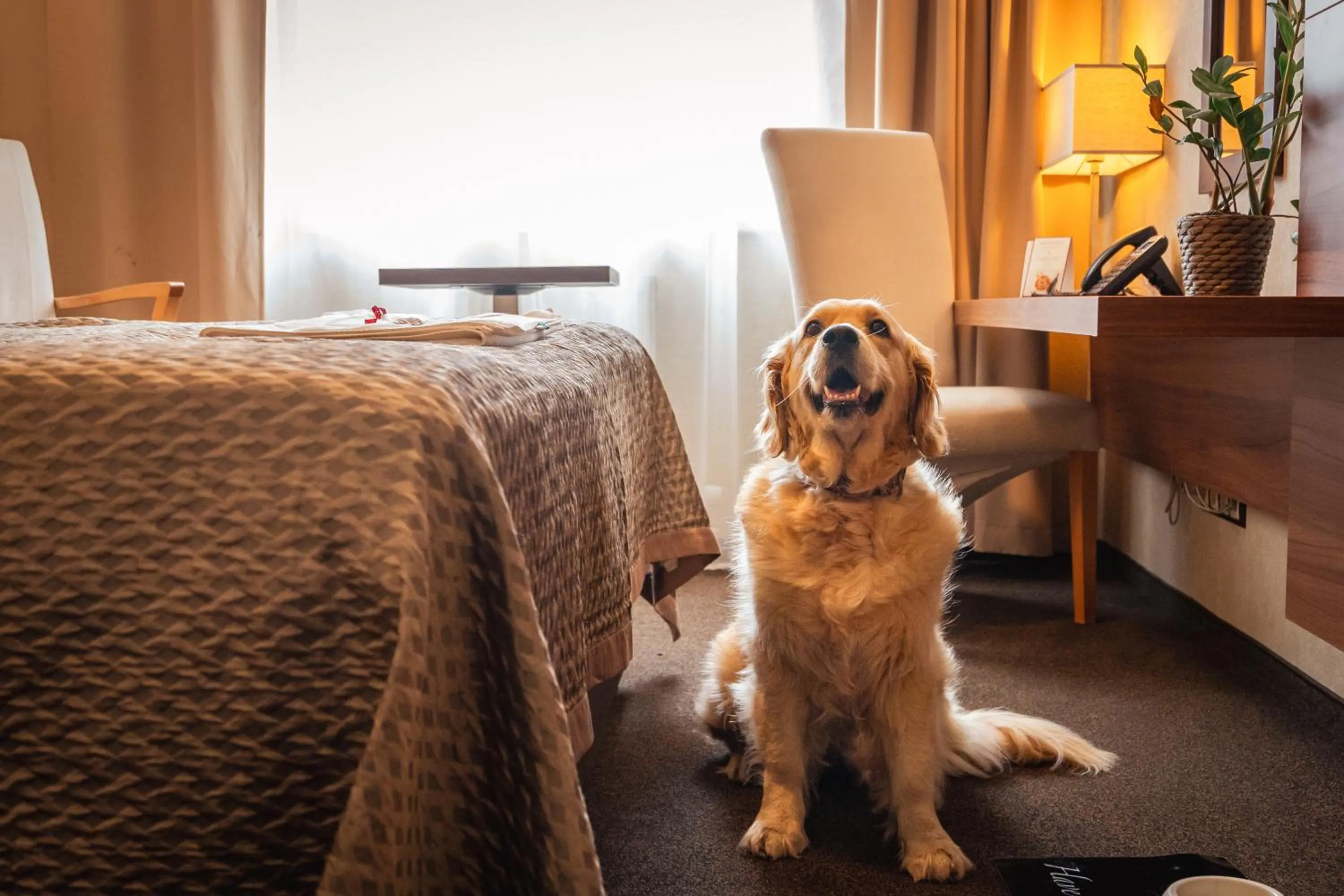 Pets in PREMIUM Business Hotel Bratislava