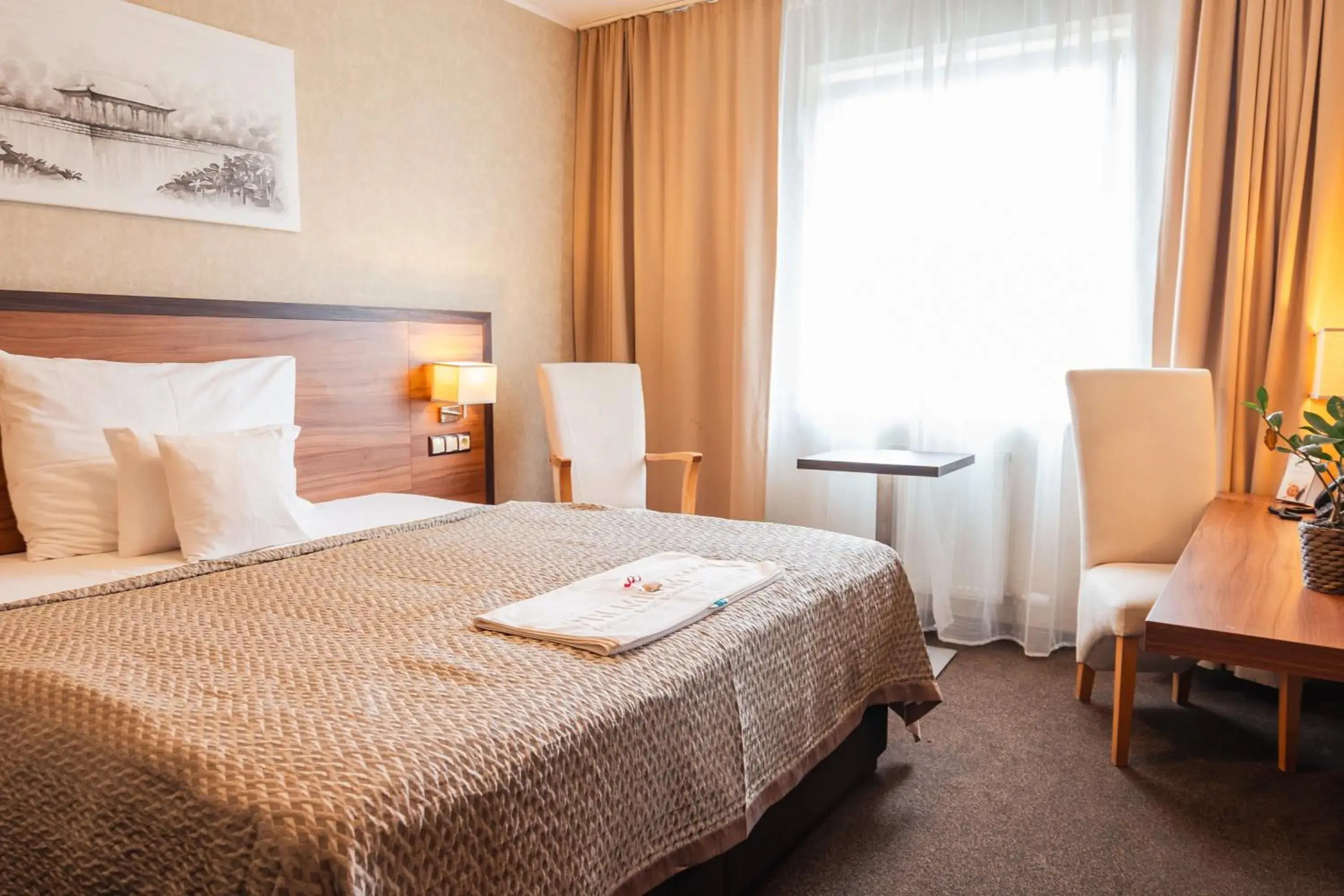 Double Room Single Use in PREMIUM Business Hotel Bratislava Double Room Single Use in PREMIUM Business Hotel Bratislava