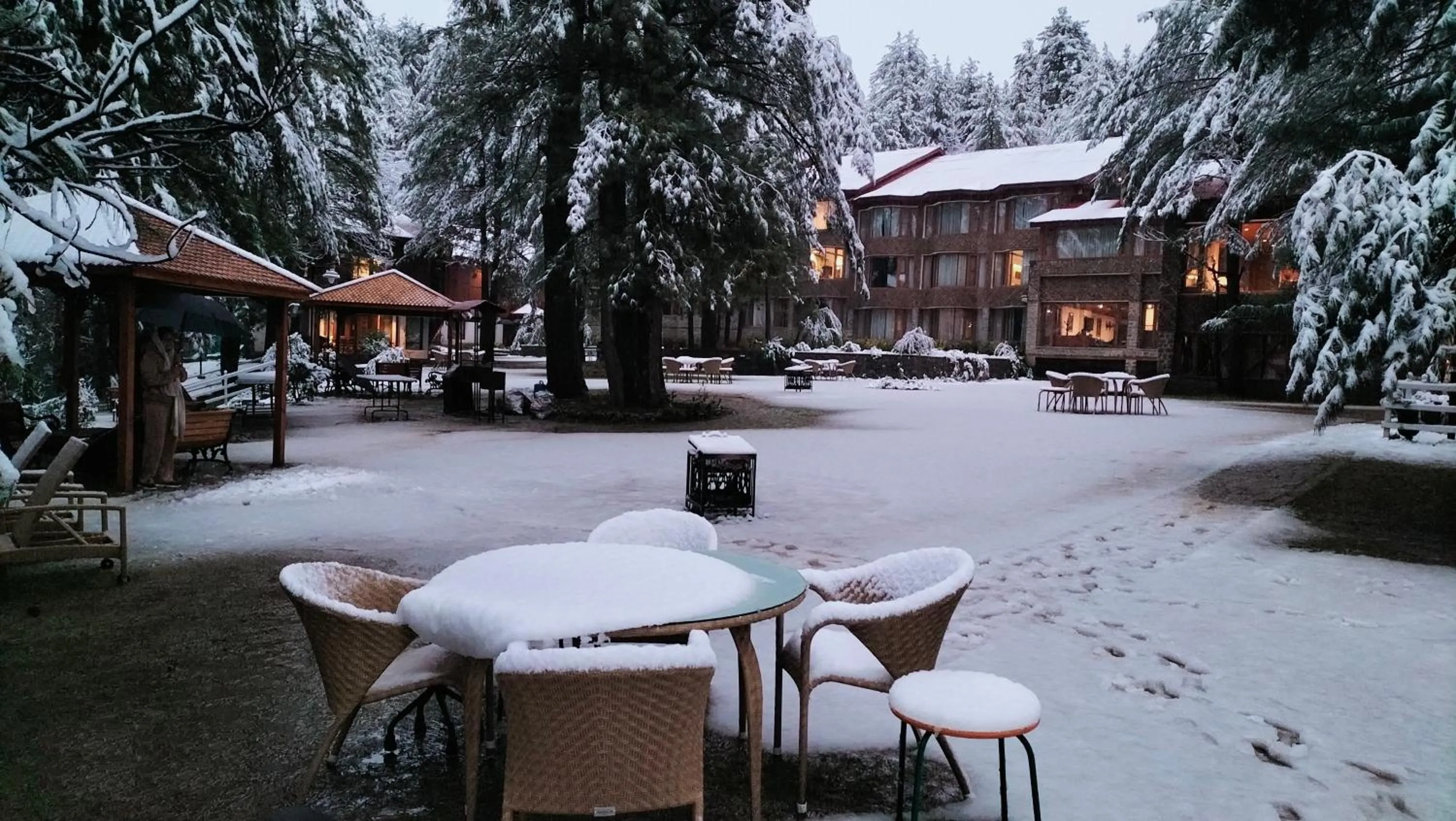 Garden in Welcomhotel by ITC Hotels, Pine N Peak, Pahalgam