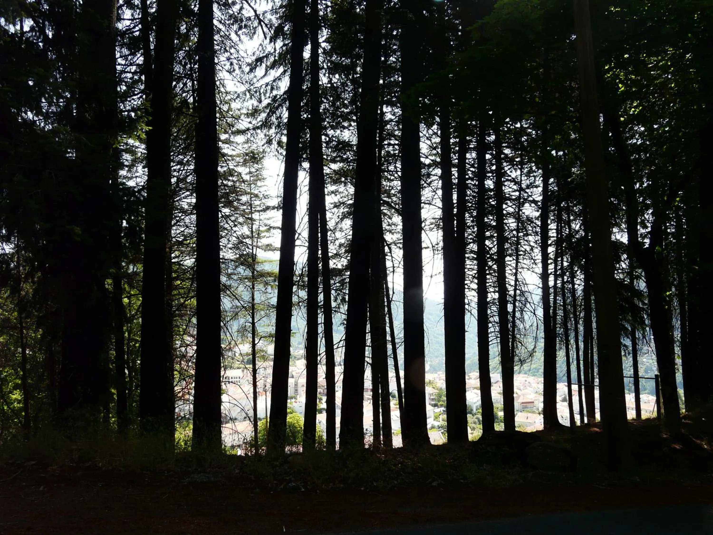 Natural landscape in Casa Das Obras