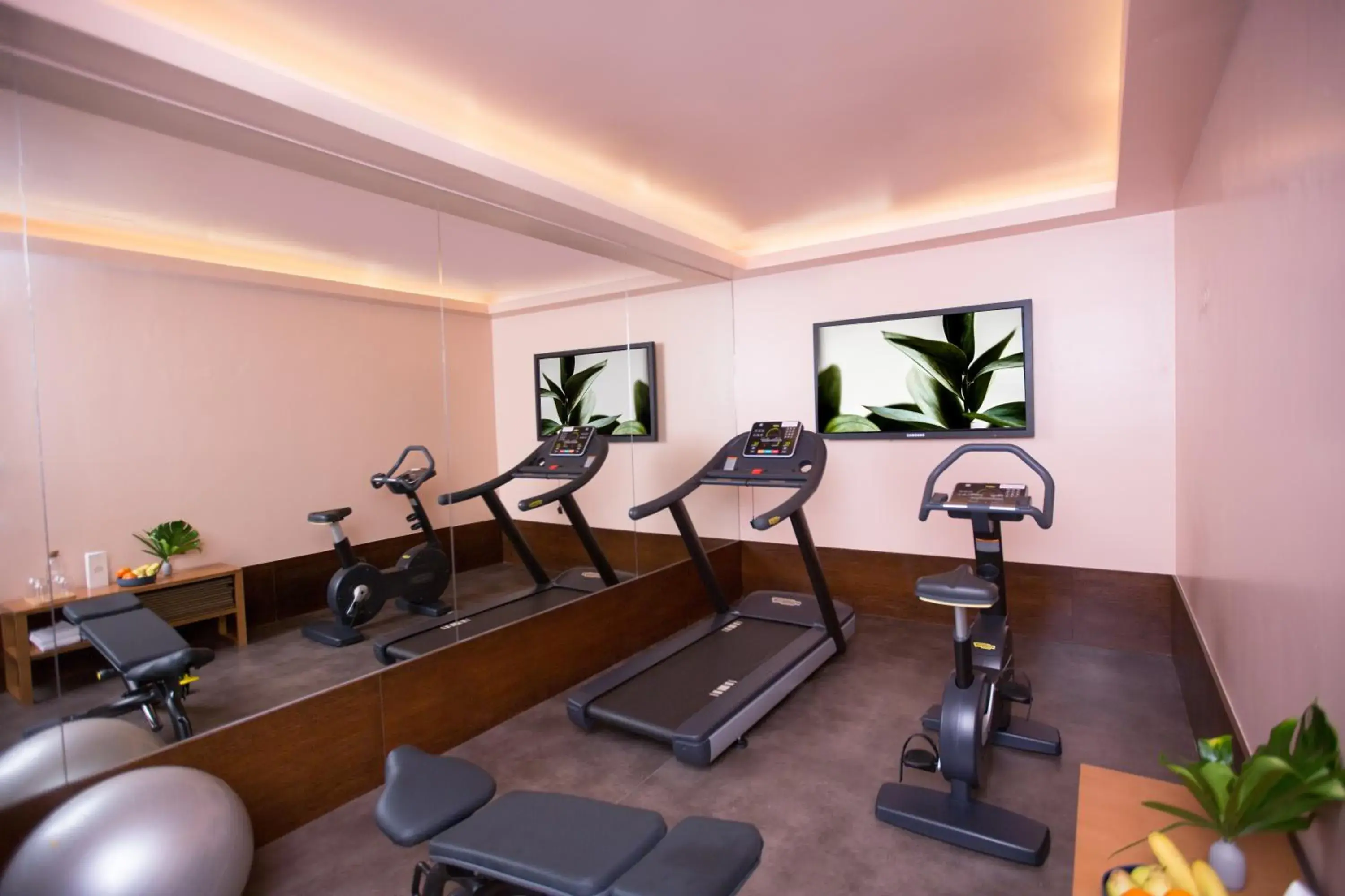 Fitness centre/facilities in The Vintage Hotel & Spa Lisbon Fitness centre/facilities in The Vintage Hotel & Spa Lisbon