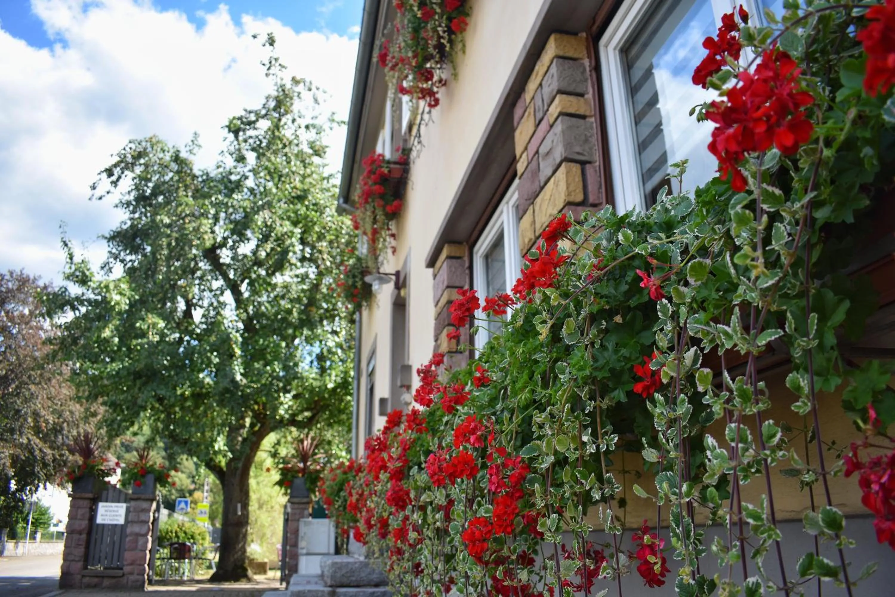 Facade/entrance in Hôtel Deybach