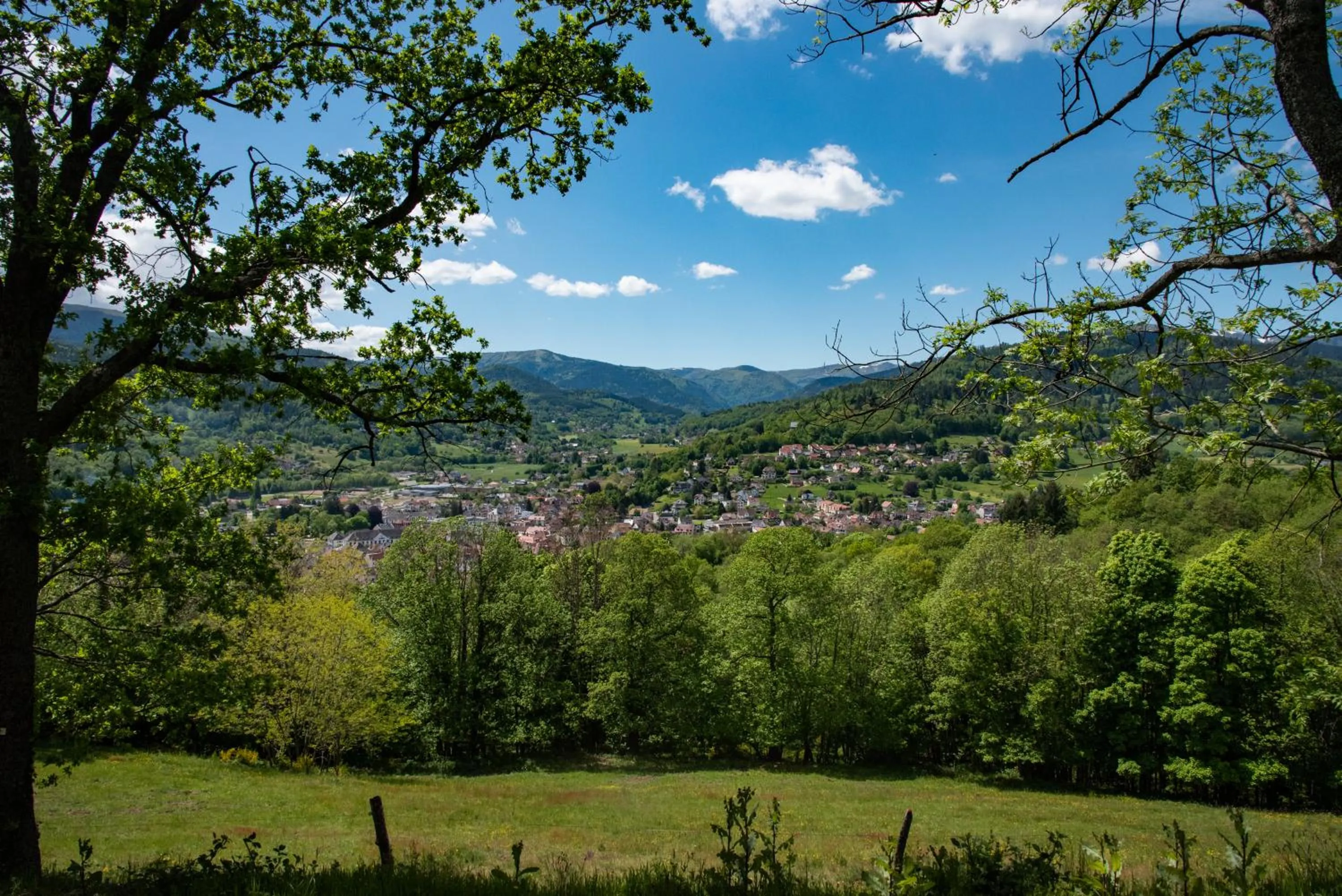 Natural landscape in Hôtel Deybach