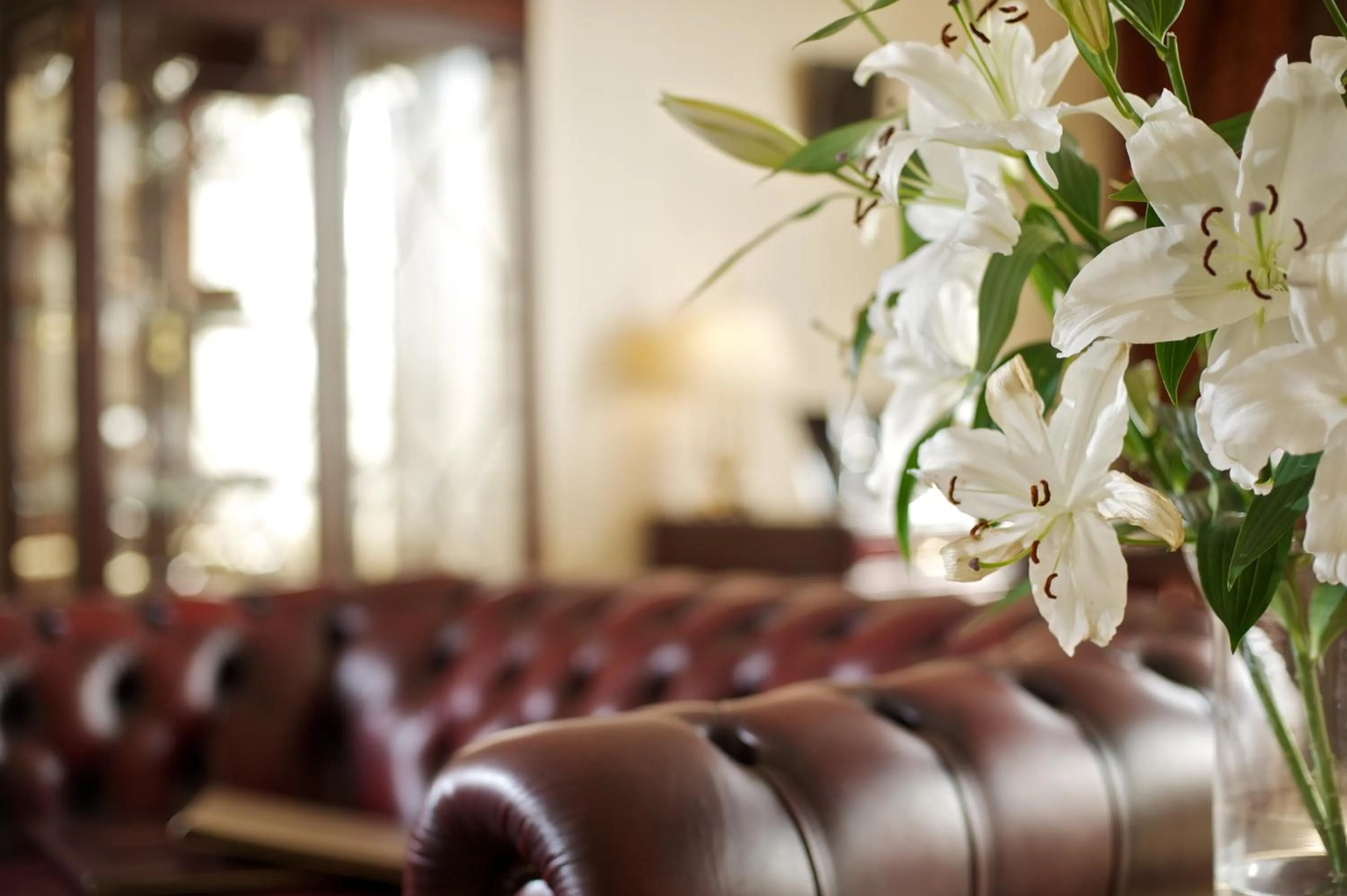 Decorative detail in Hotel Devín