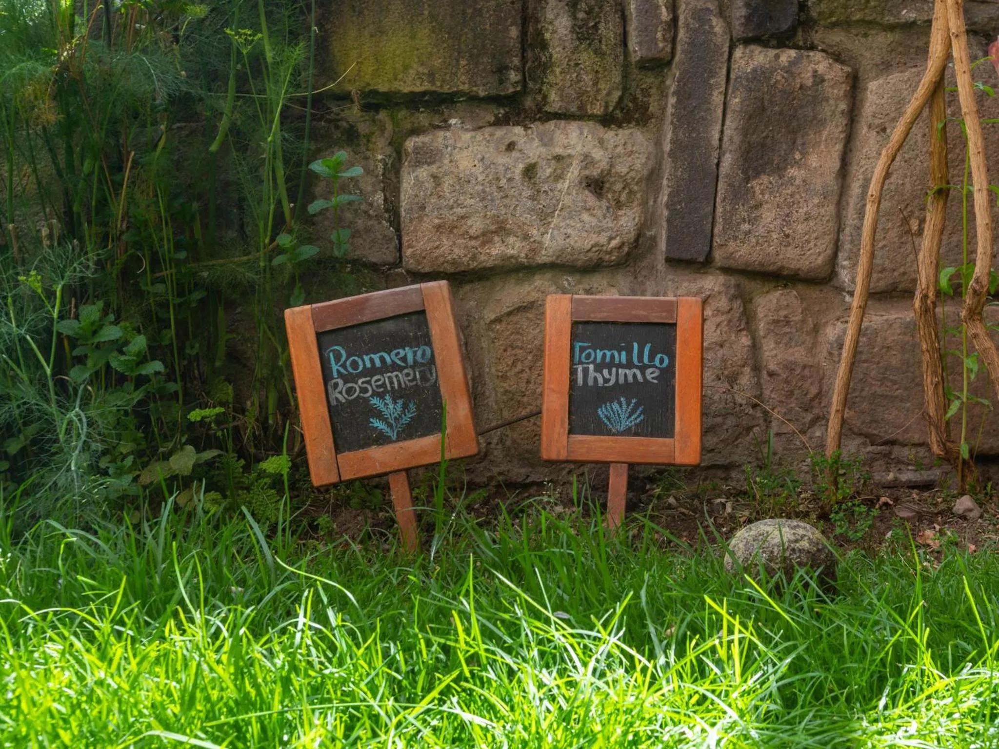 Garden in Casa Andina Standard Cusco San Blas