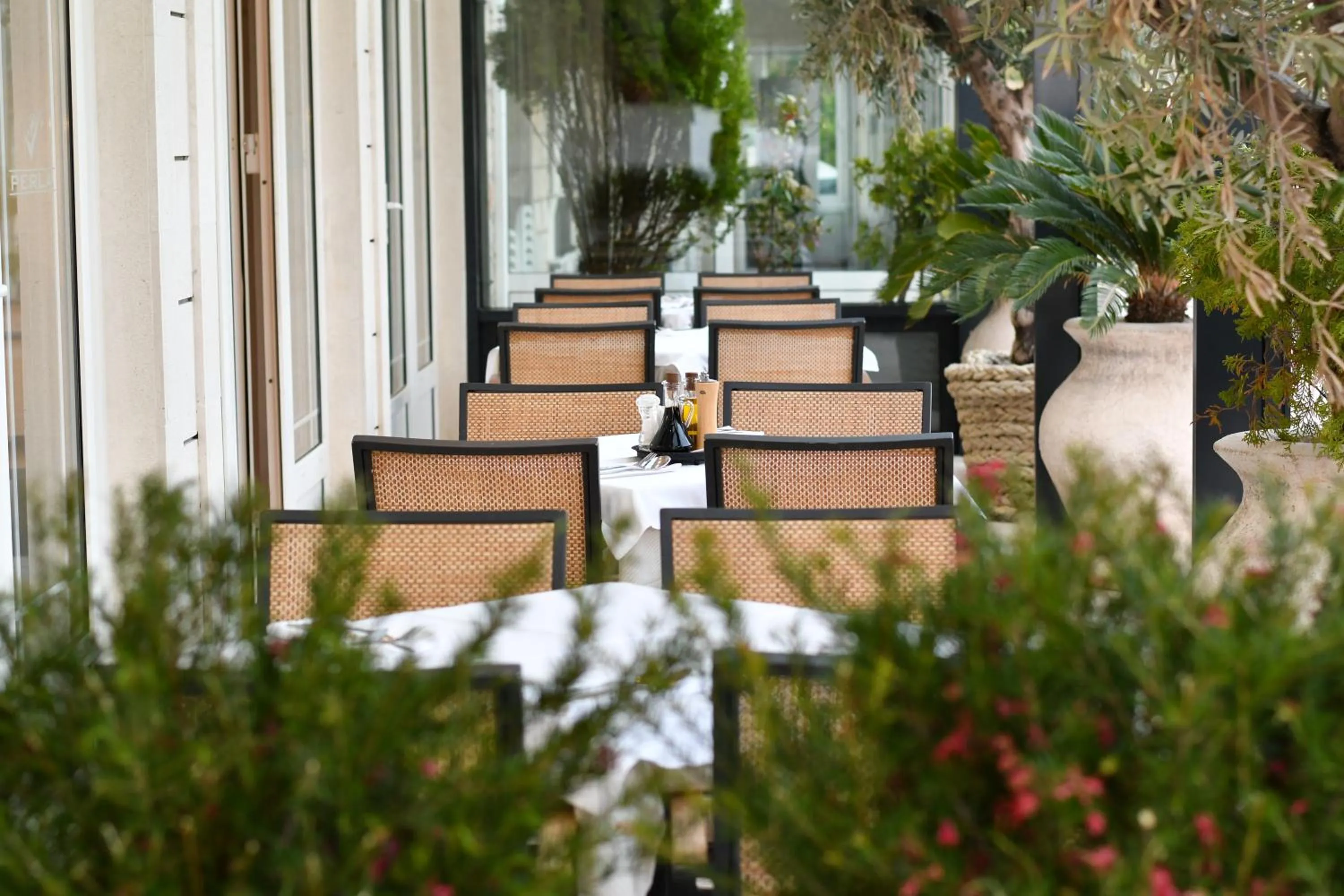 Restaurant/places to eat in Hotel Perla