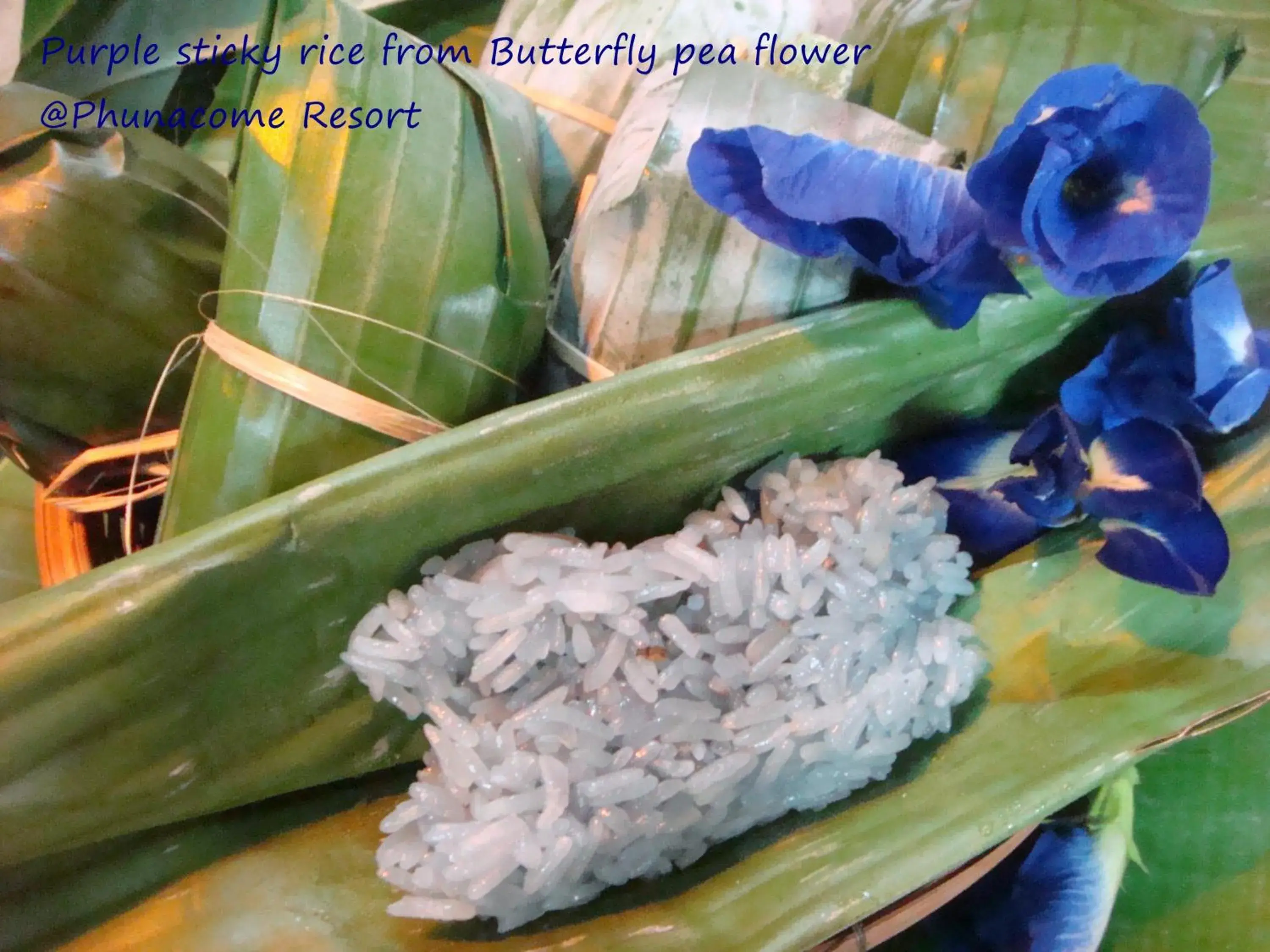 Food and drinks in Phunacome Resort Food and drinks in Phunacome Resort