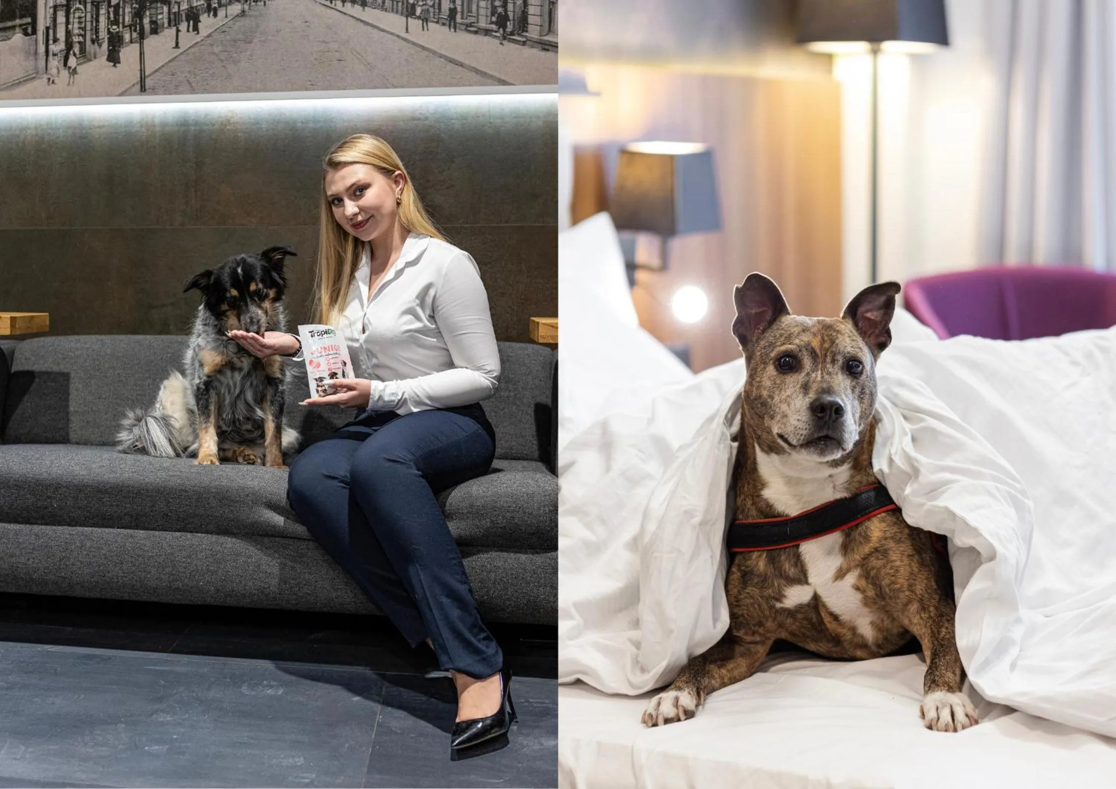 Property building in Best Western Hotel Mariacki Katowice