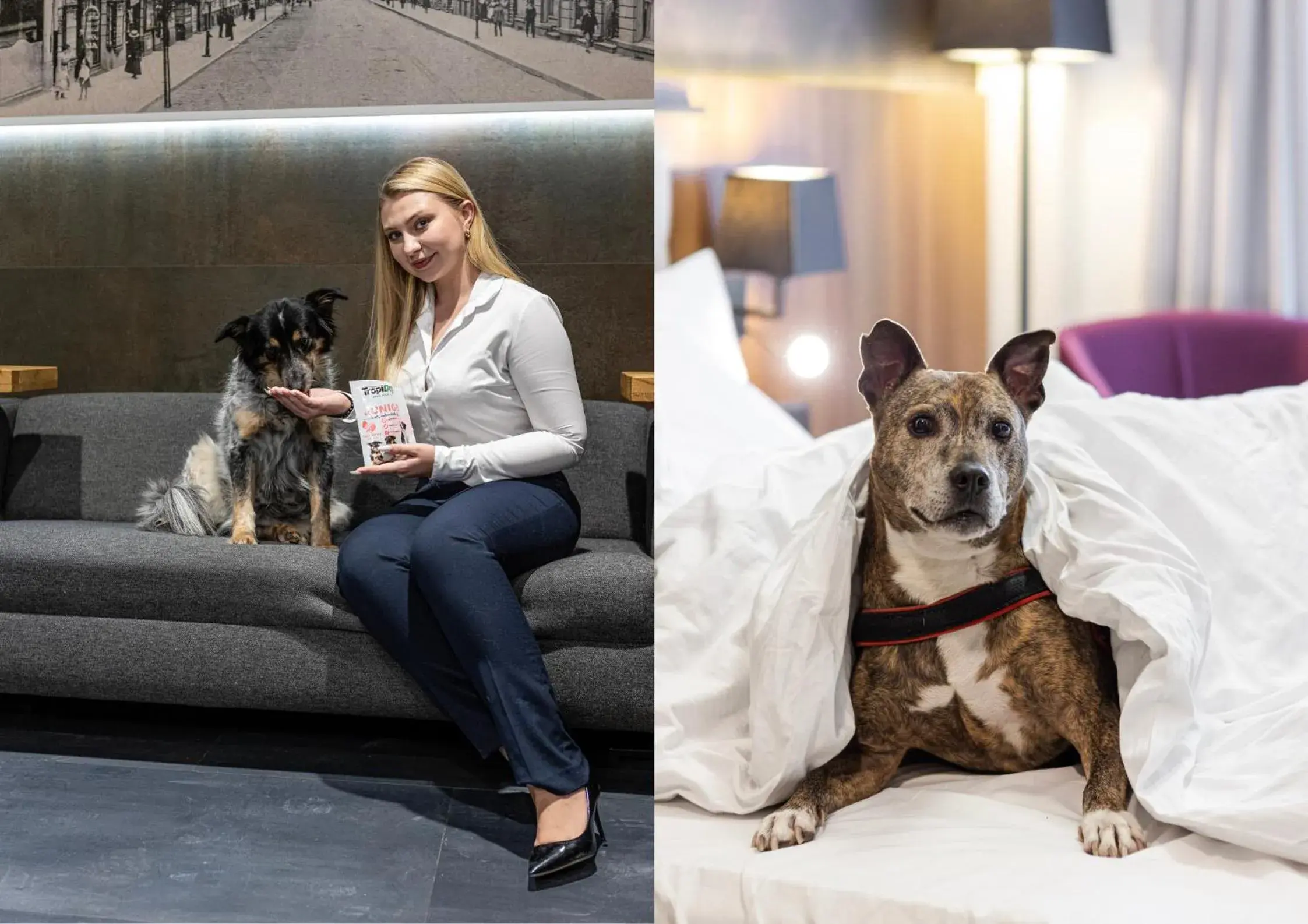 Property building in Best Western Hotel Mariacki Katowice Property building in Best Western Hotel Mariacki Katowice