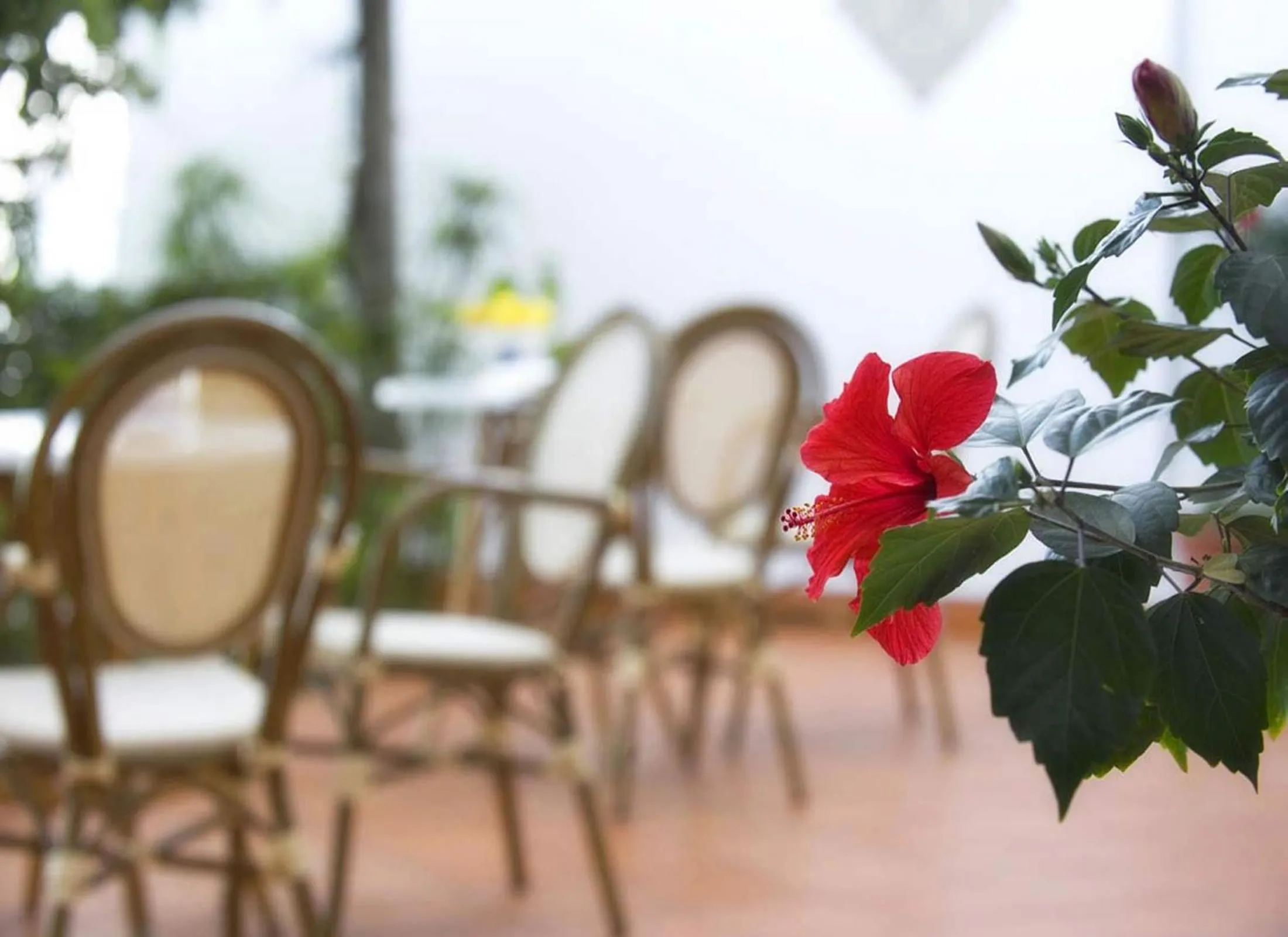 Facade/entrance in B&B Ravello Rooms