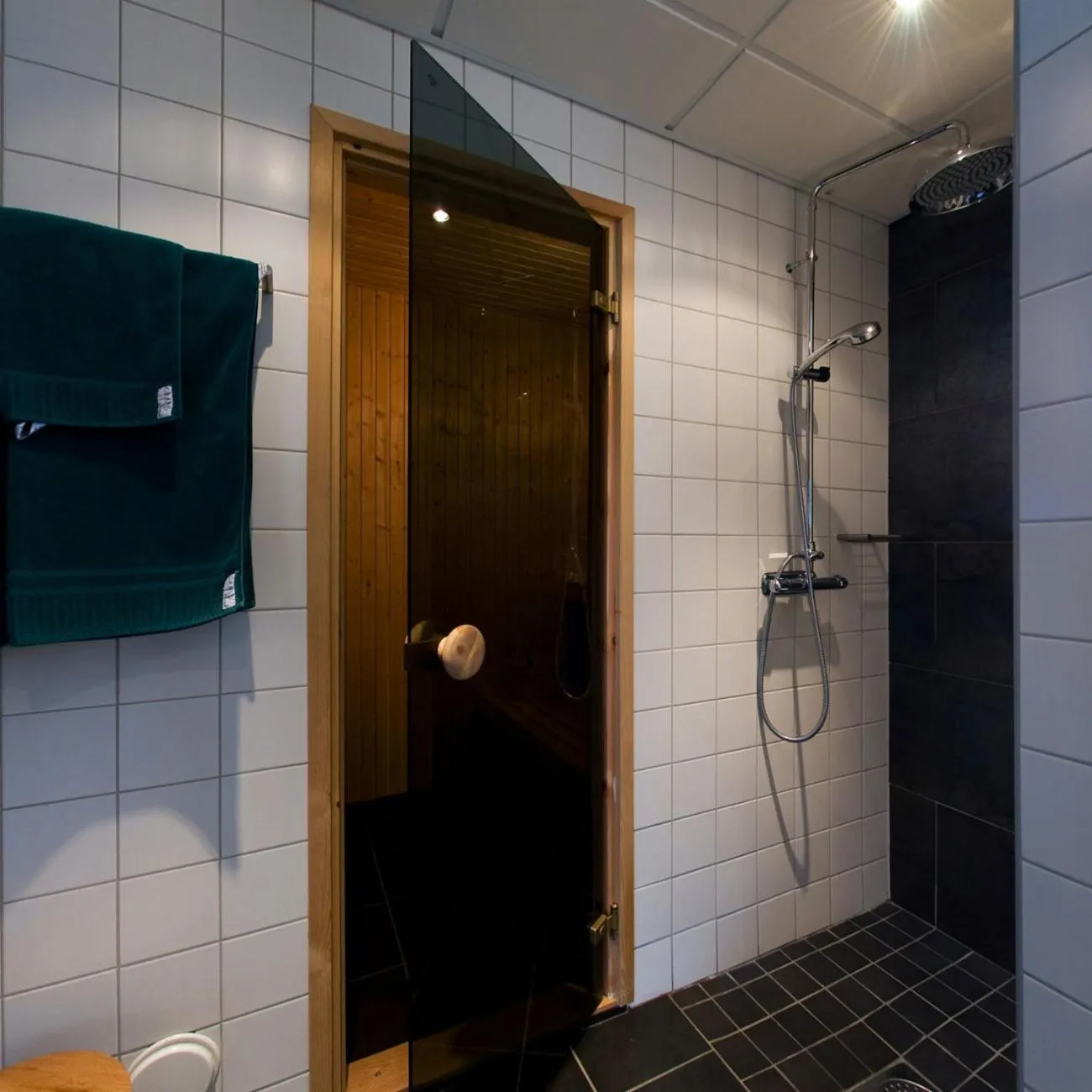 Shower in Hotel Örebro