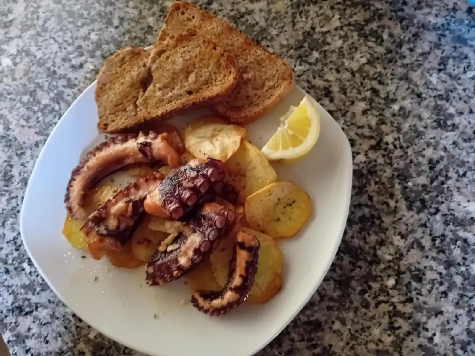 Maxola's Dream Orikum