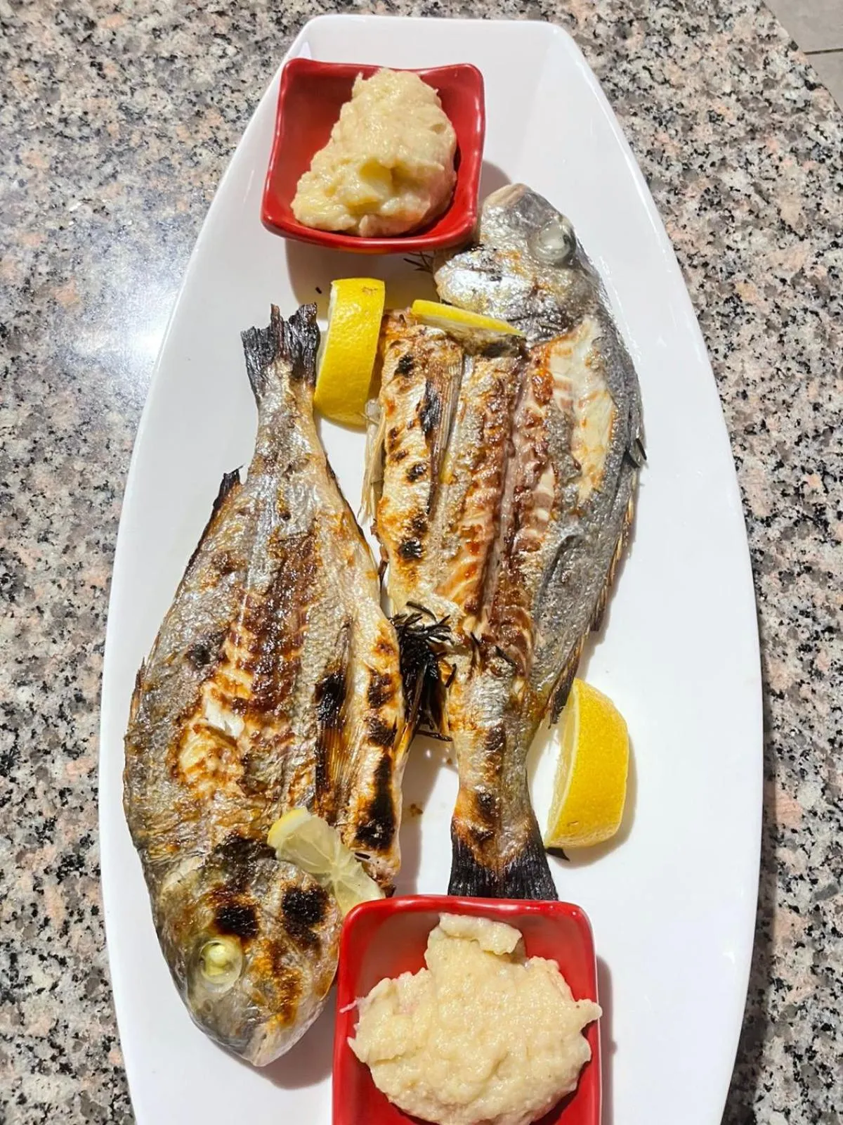 Maxola's Dream Orikum