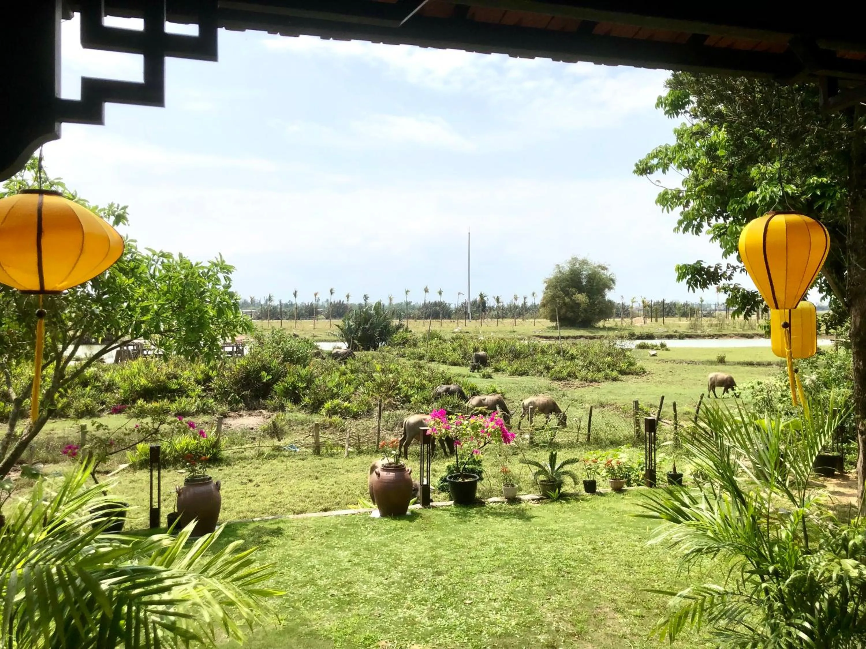 Natural landscape in The Quin Riverside Villa