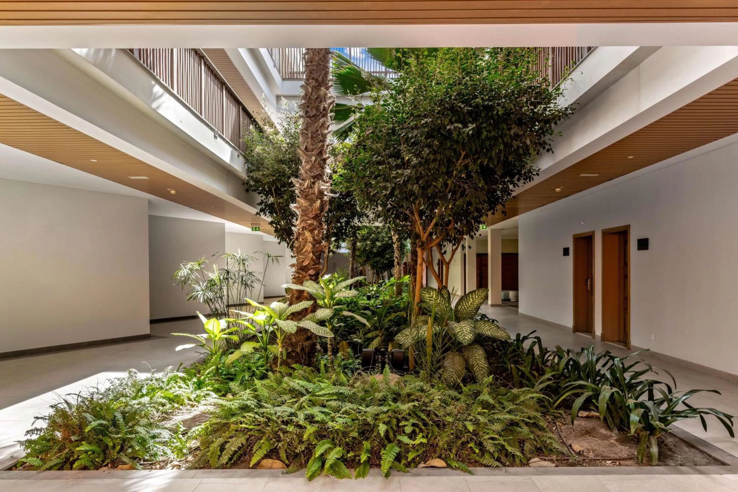 Lobby or reception in Hilton Cabo Verde Sal Resort