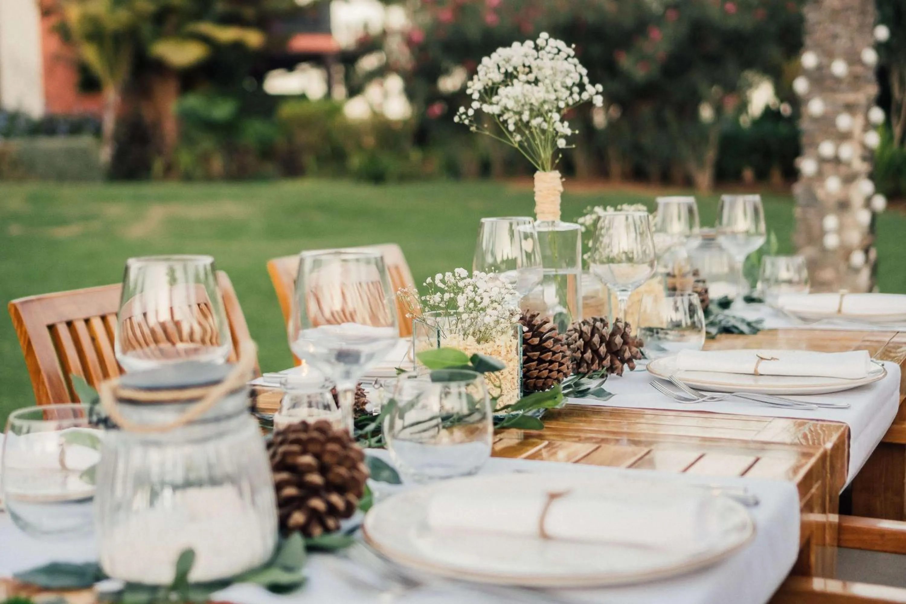 Garden in Hilton Cabo Verde Sal Resort