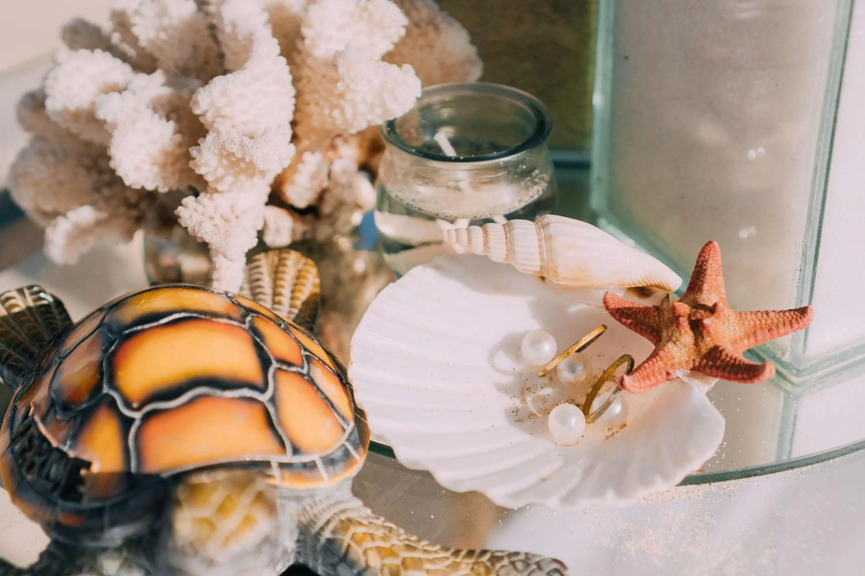 Property building in Hilton Cabo Verde Sal Resort