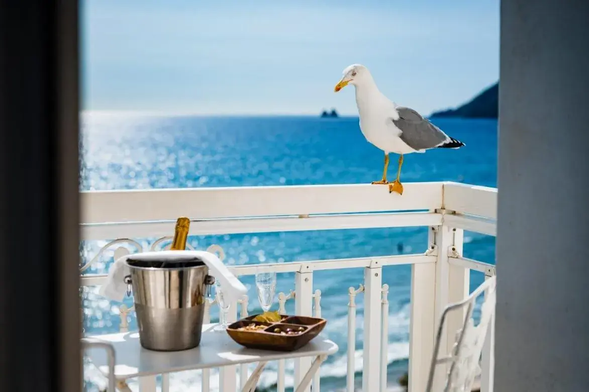 Grand Hotel Des Sablettes Plage, Curio Collection By Hilton Grand Hotel Des Sablettes Plage, Curio Collection By Hilton