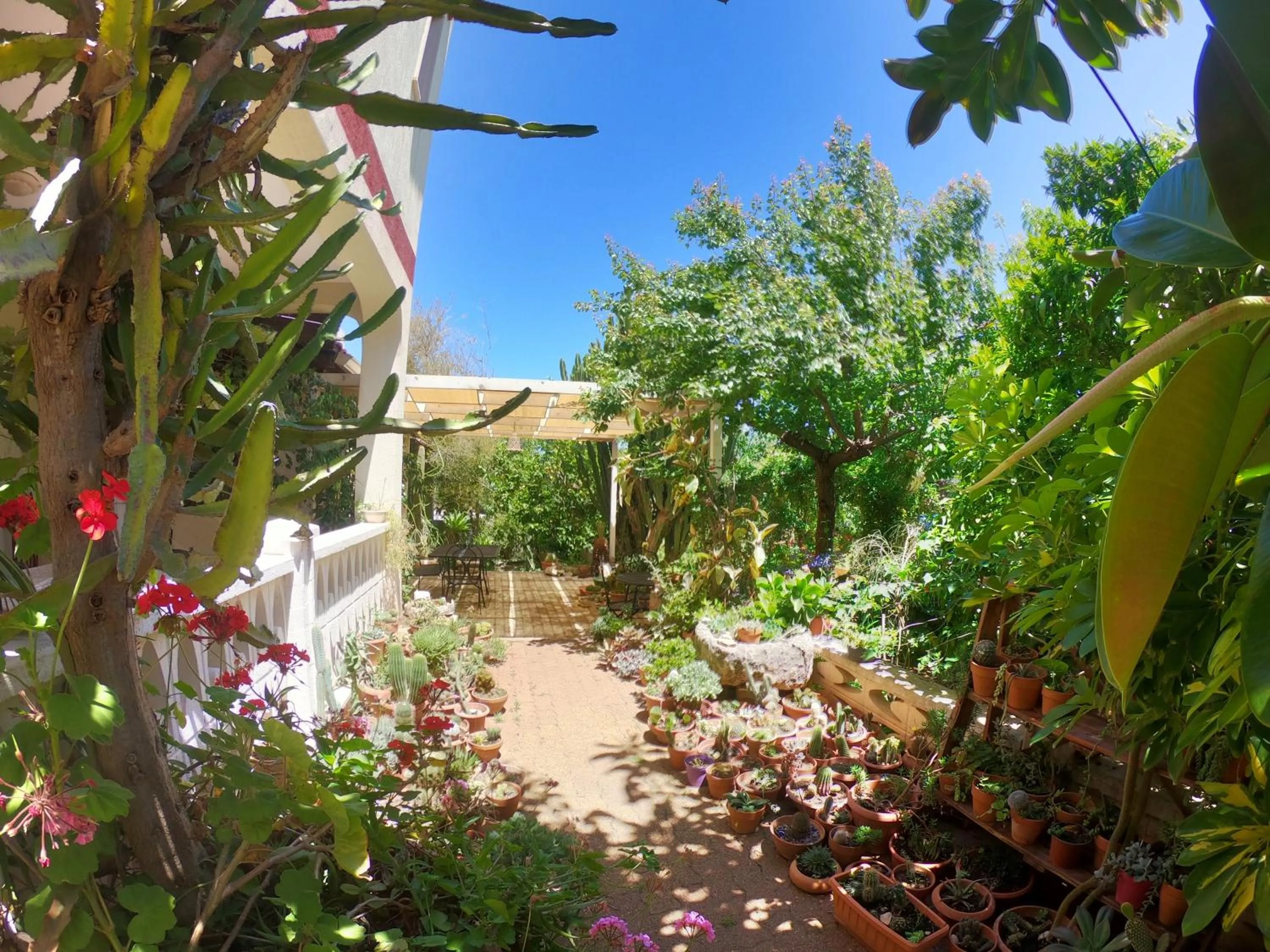 Garden in La casa nel villaggio