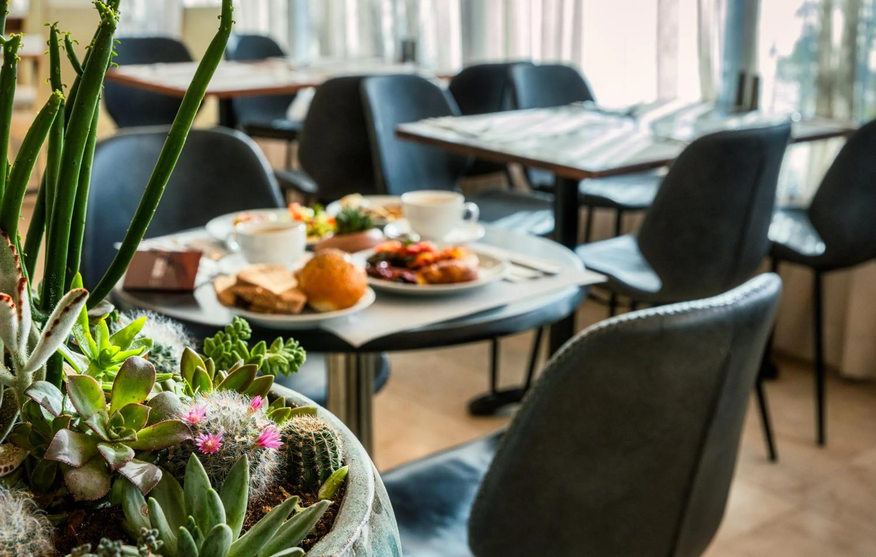 Food and drinks in Brown Red Sea