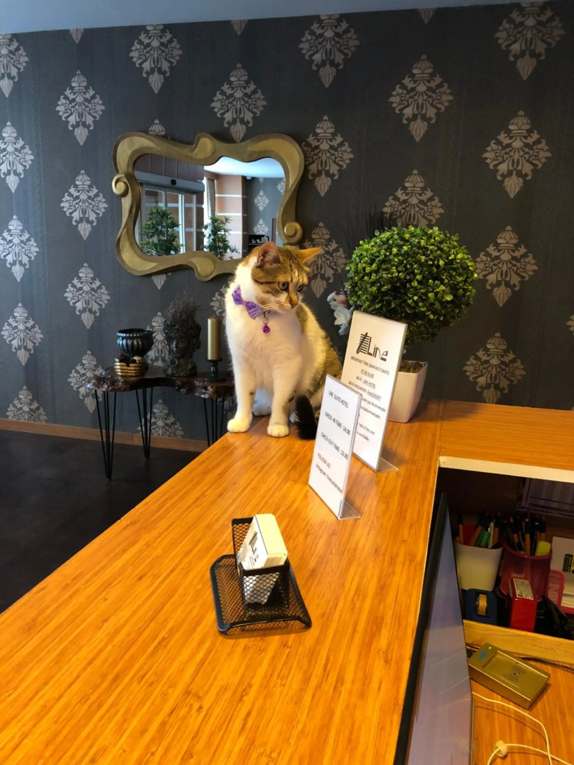 Property building in Line Suite Hotel