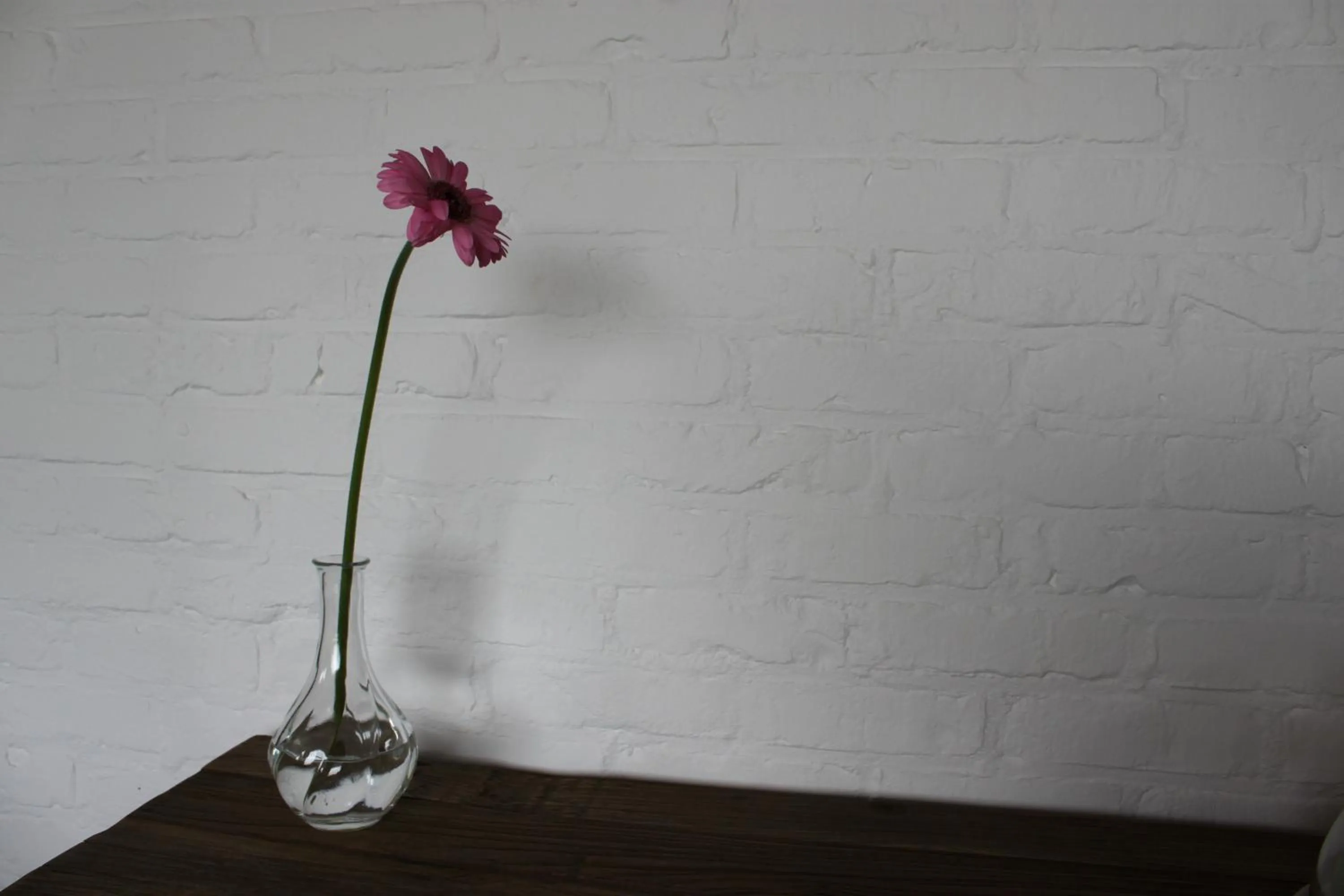 Breakfast in B&B 't Hoogste