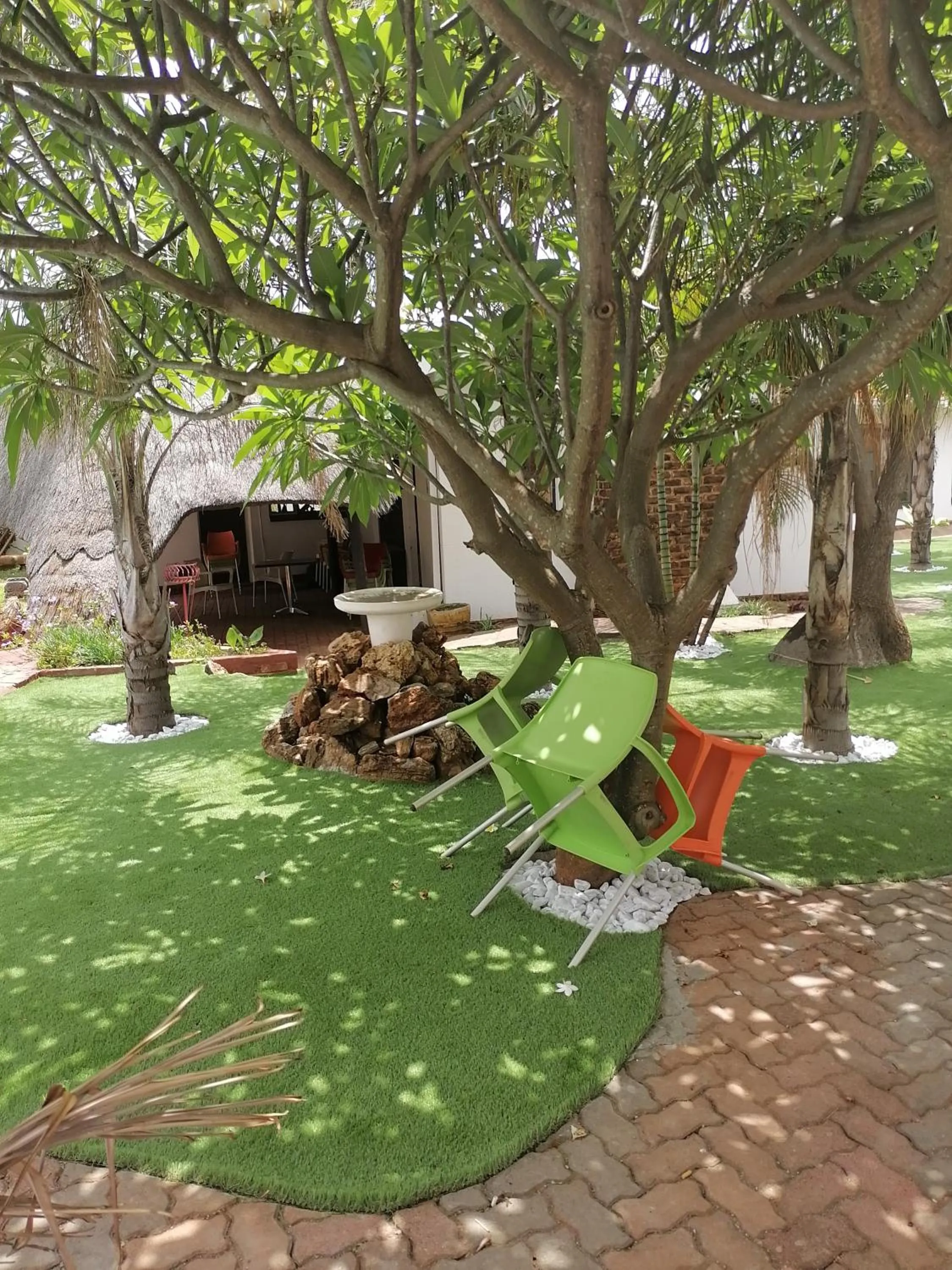 Garden view in The Shamrock Hotel