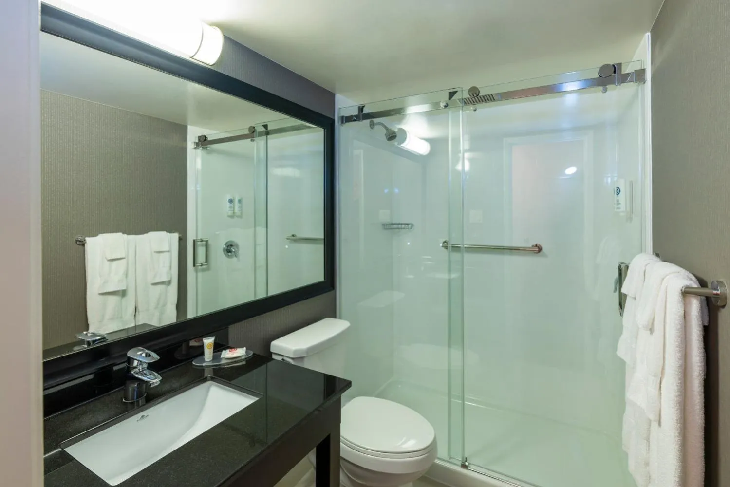 Bathroom in Comfort Inn Magnetic Hill