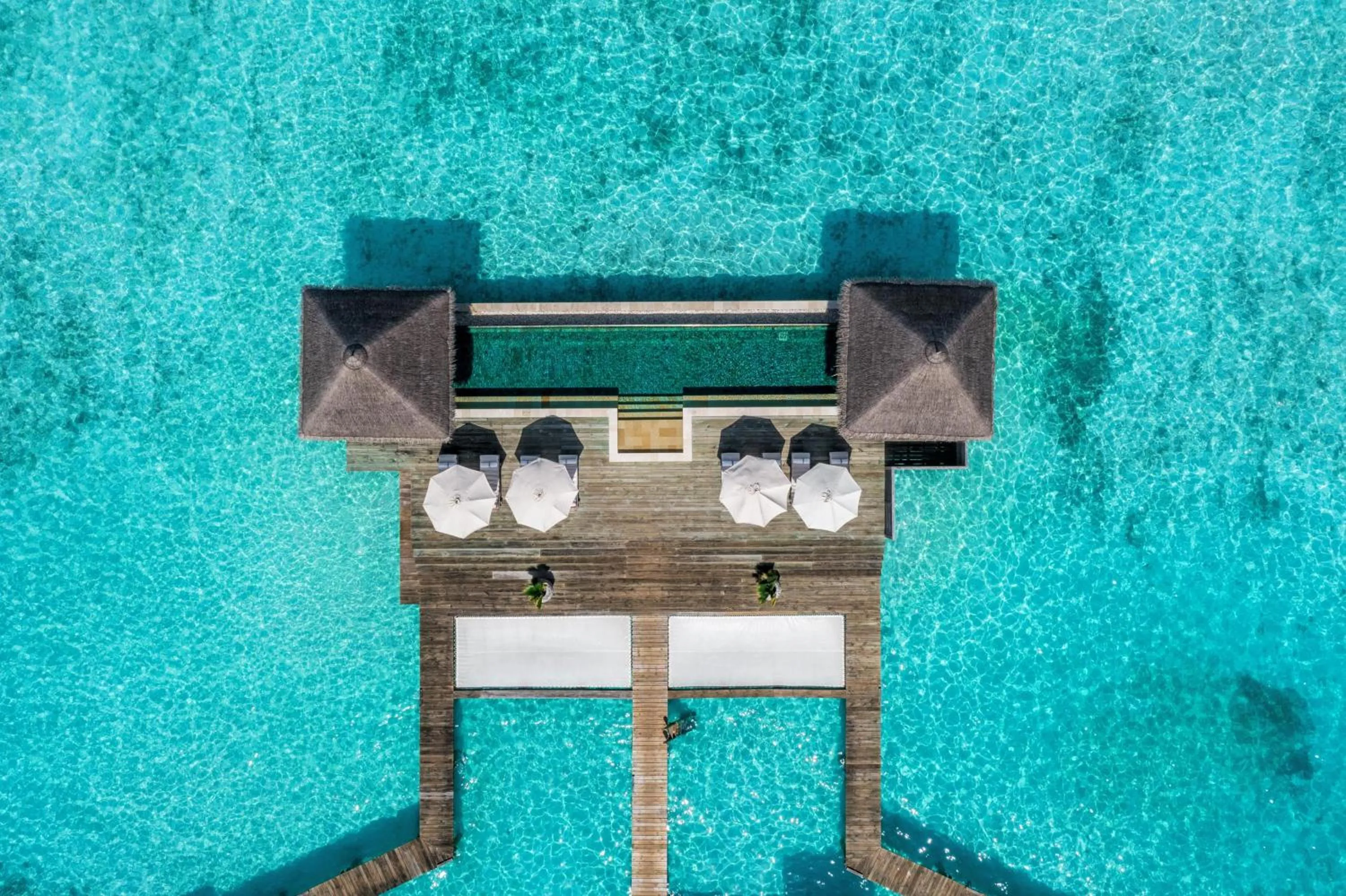 Bird's eye view in Gili Lankanfushi Maldives