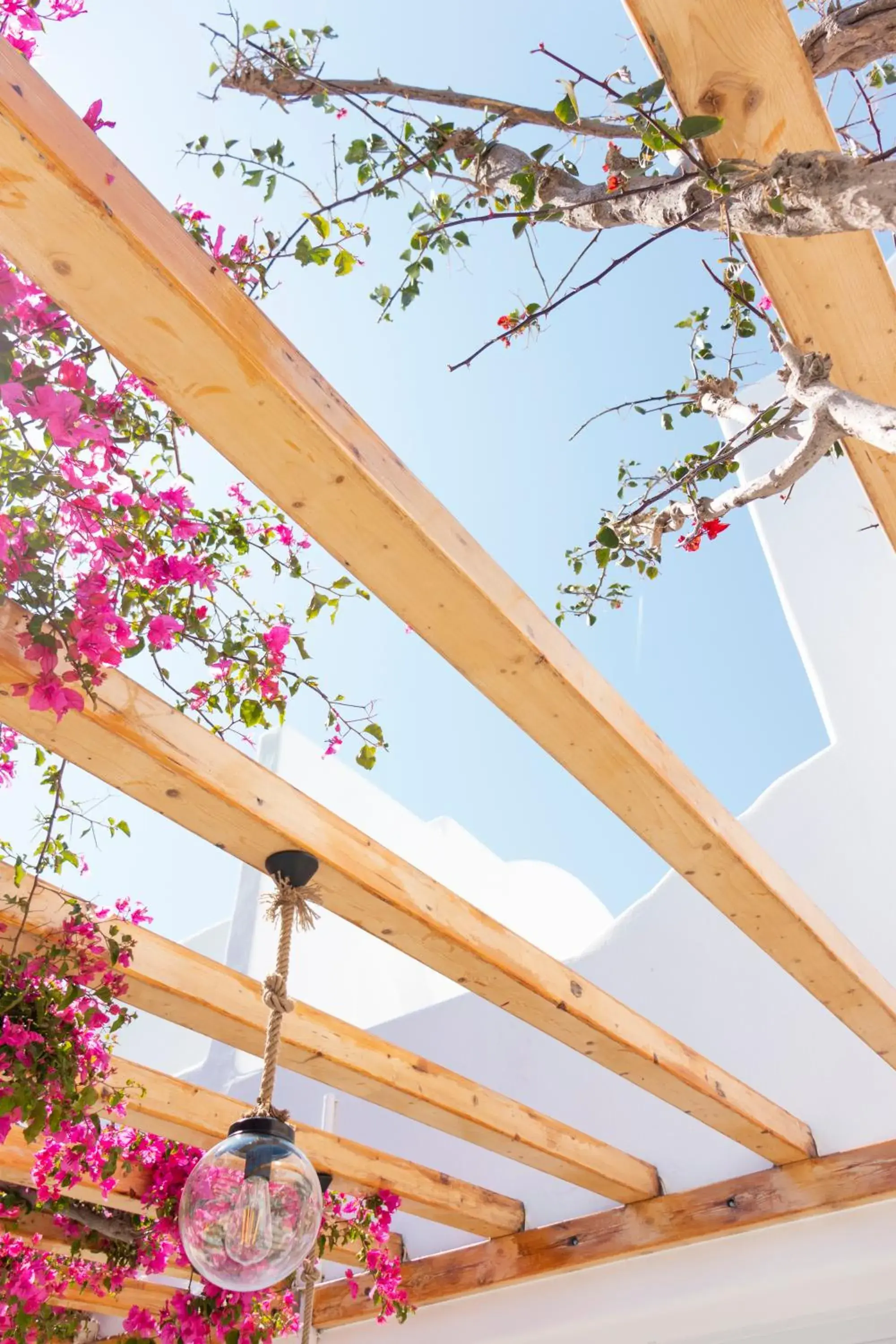 Property building in Cavo Bianco Boutique Hotel & Spa Property building in Cavo Bianco Boutique Hotel & Spa