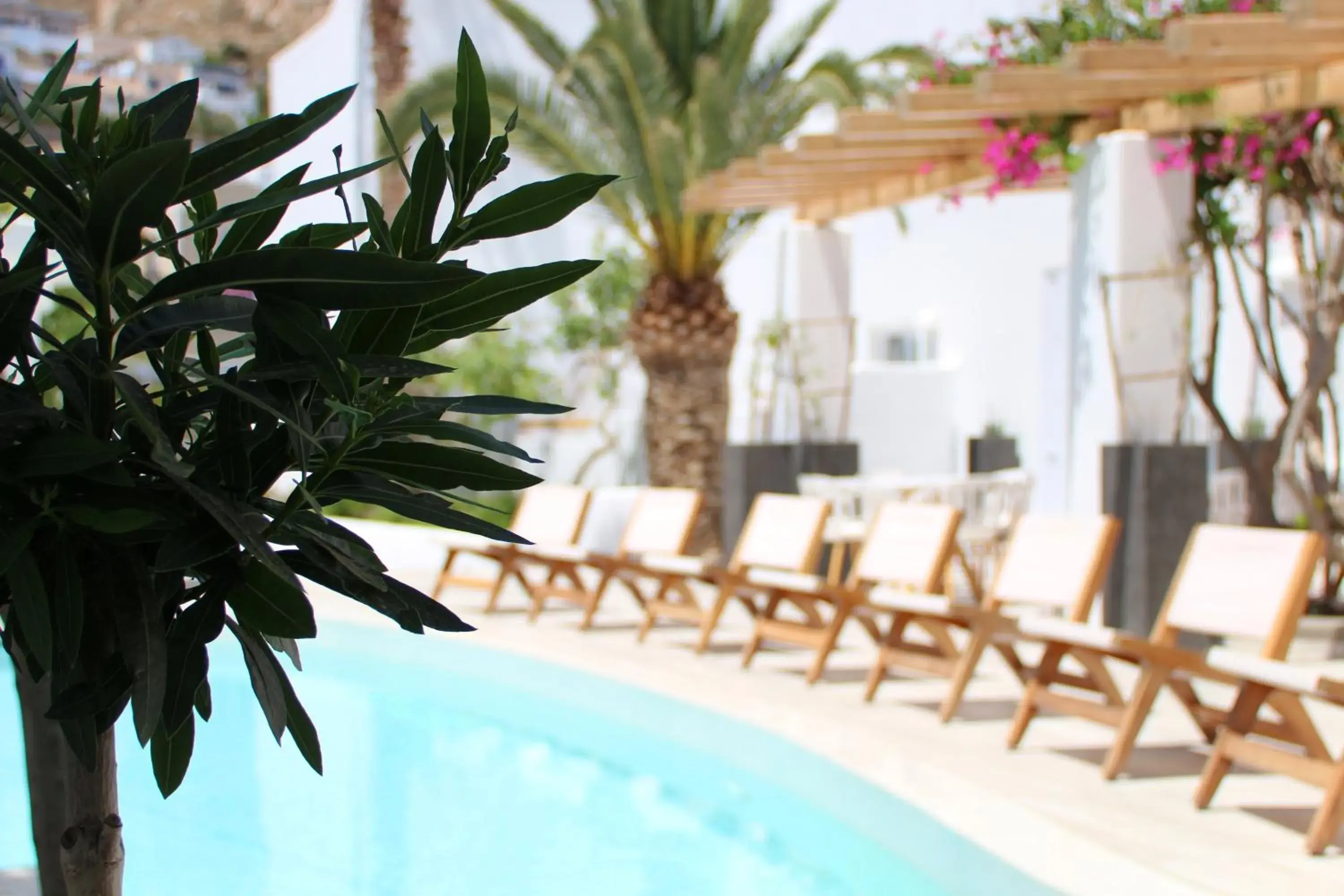 Lounge or bar in Cavo Bianco Boutique Hotel & Spa Lounge or bar in Cavo Bianco Boutique Hotel & Spa