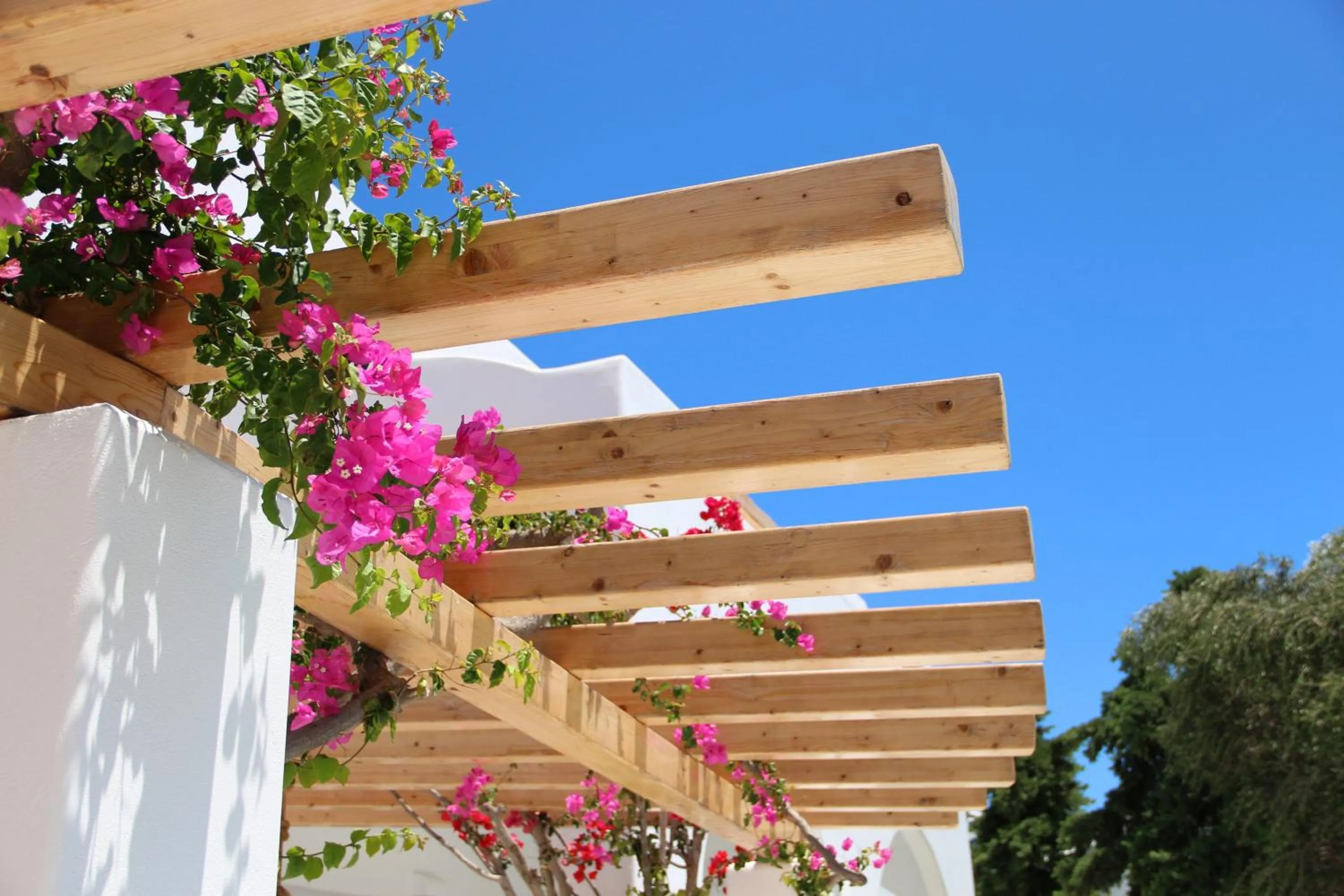 Property building in Cavo Bianco Boutique Hotel & Spa