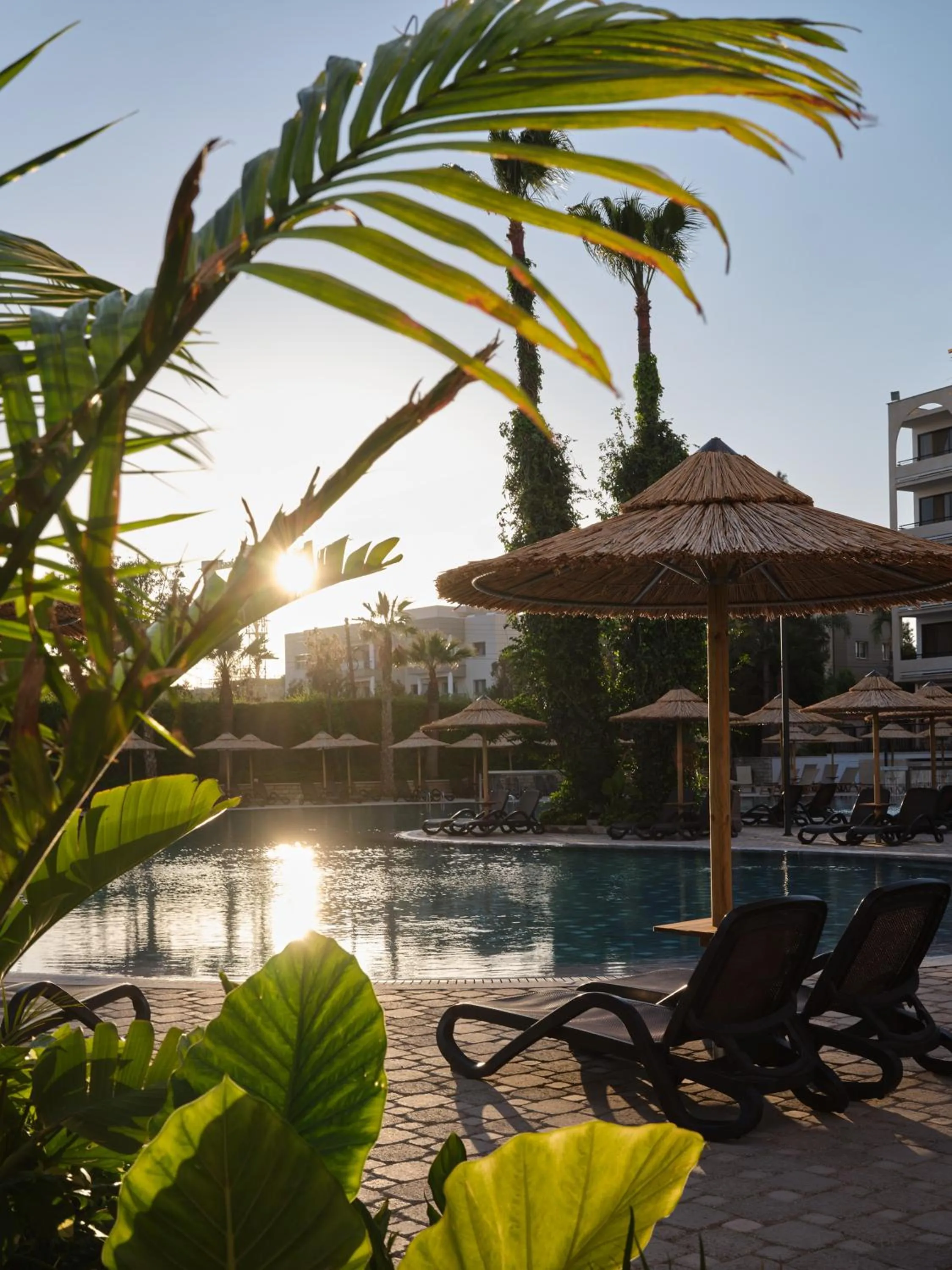 Swimming pool in Atlantica Oasis Hotel