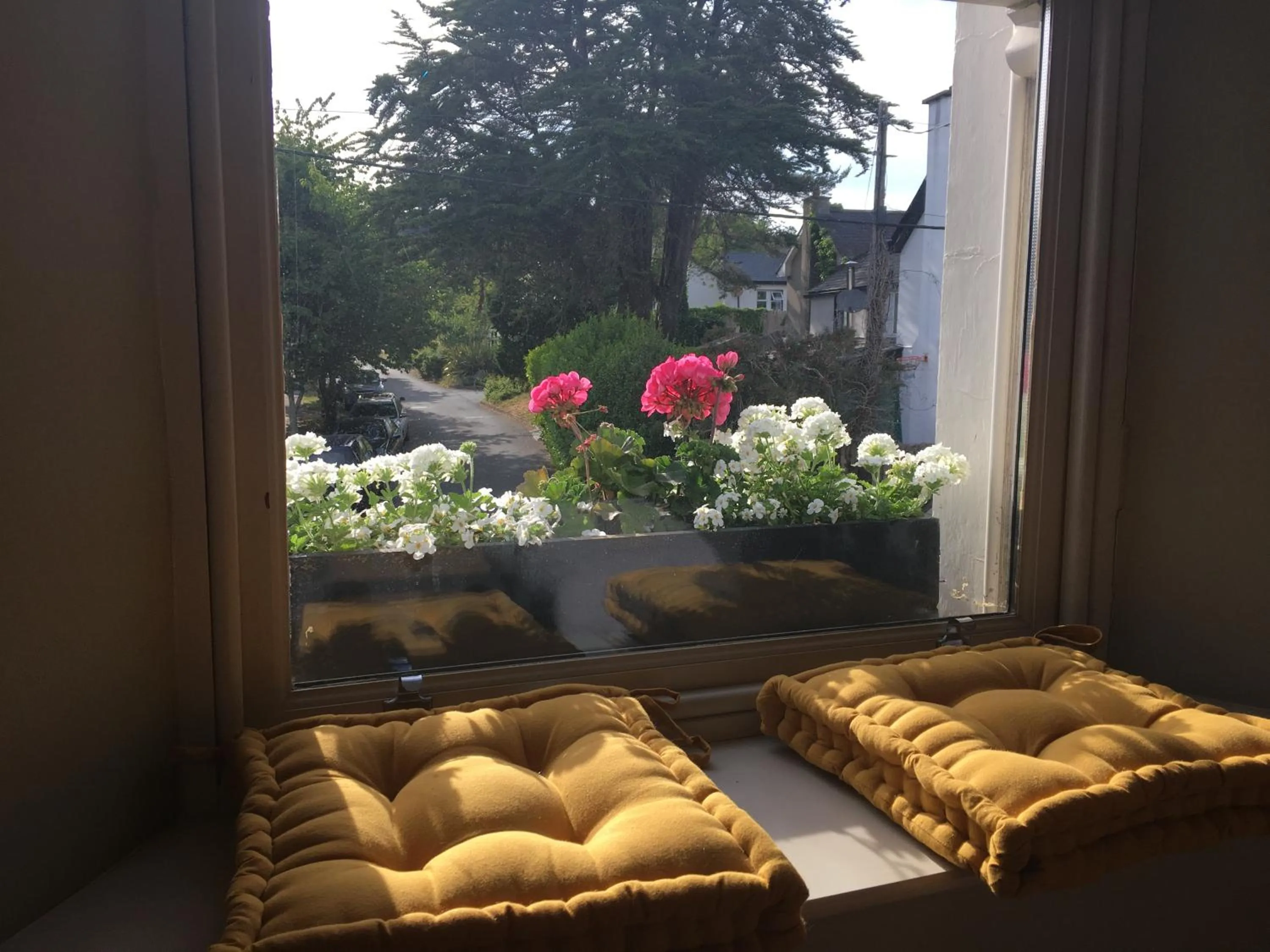 Decorative detail in Horse & Hound