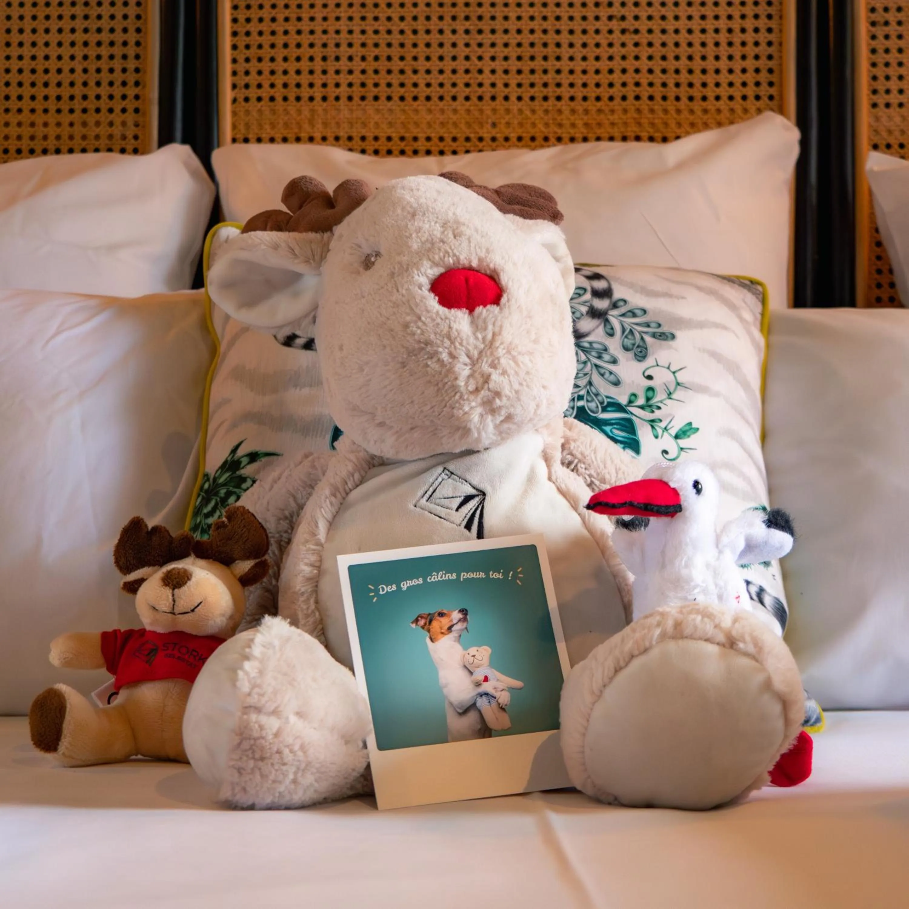 Bed in Hôtel Restaurant Vaillant proche Europapark Rulantica