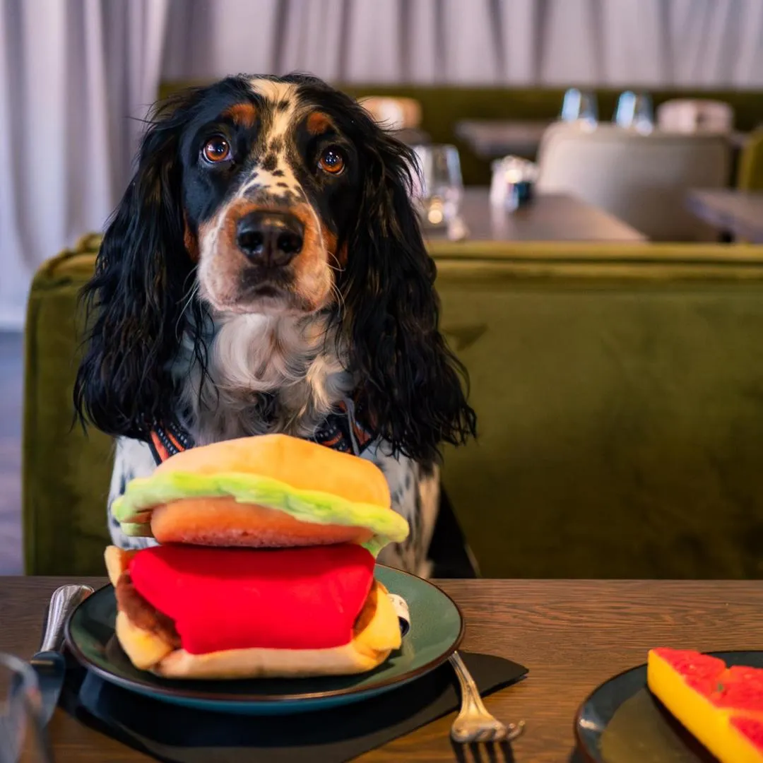 Hôtel Restaurant Vaillant proche Europapark Rulantica