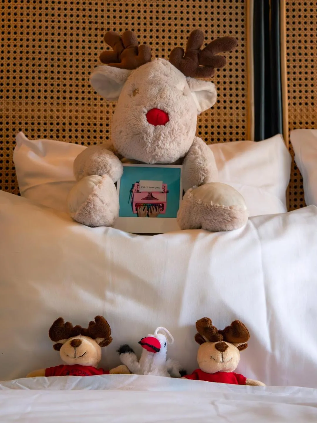 Bed in Hôtel Restaurant Vaillant proche Europapark Rulantica