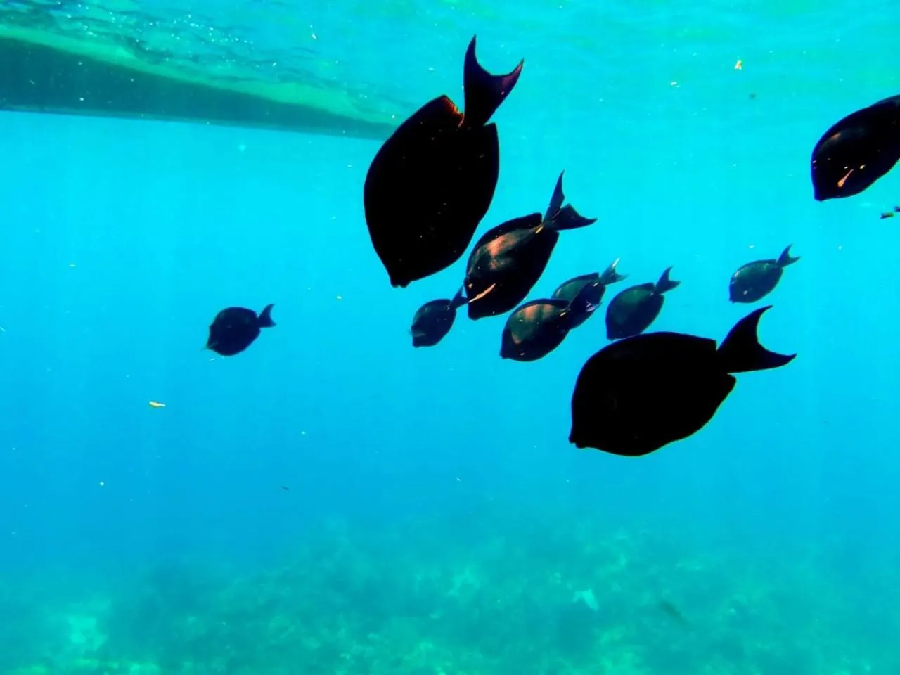 Activities in B&B Villa Luna