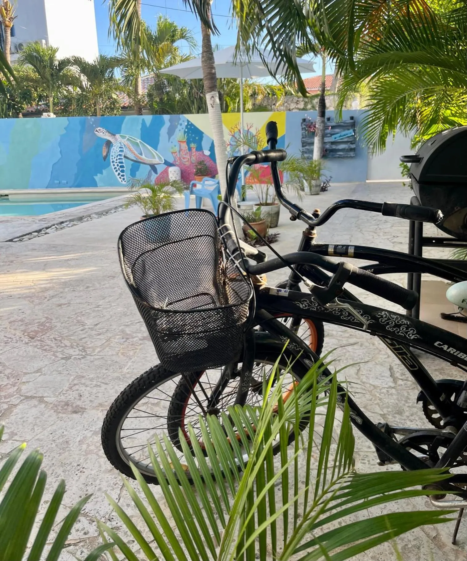 Patio in B&B Villa Luna