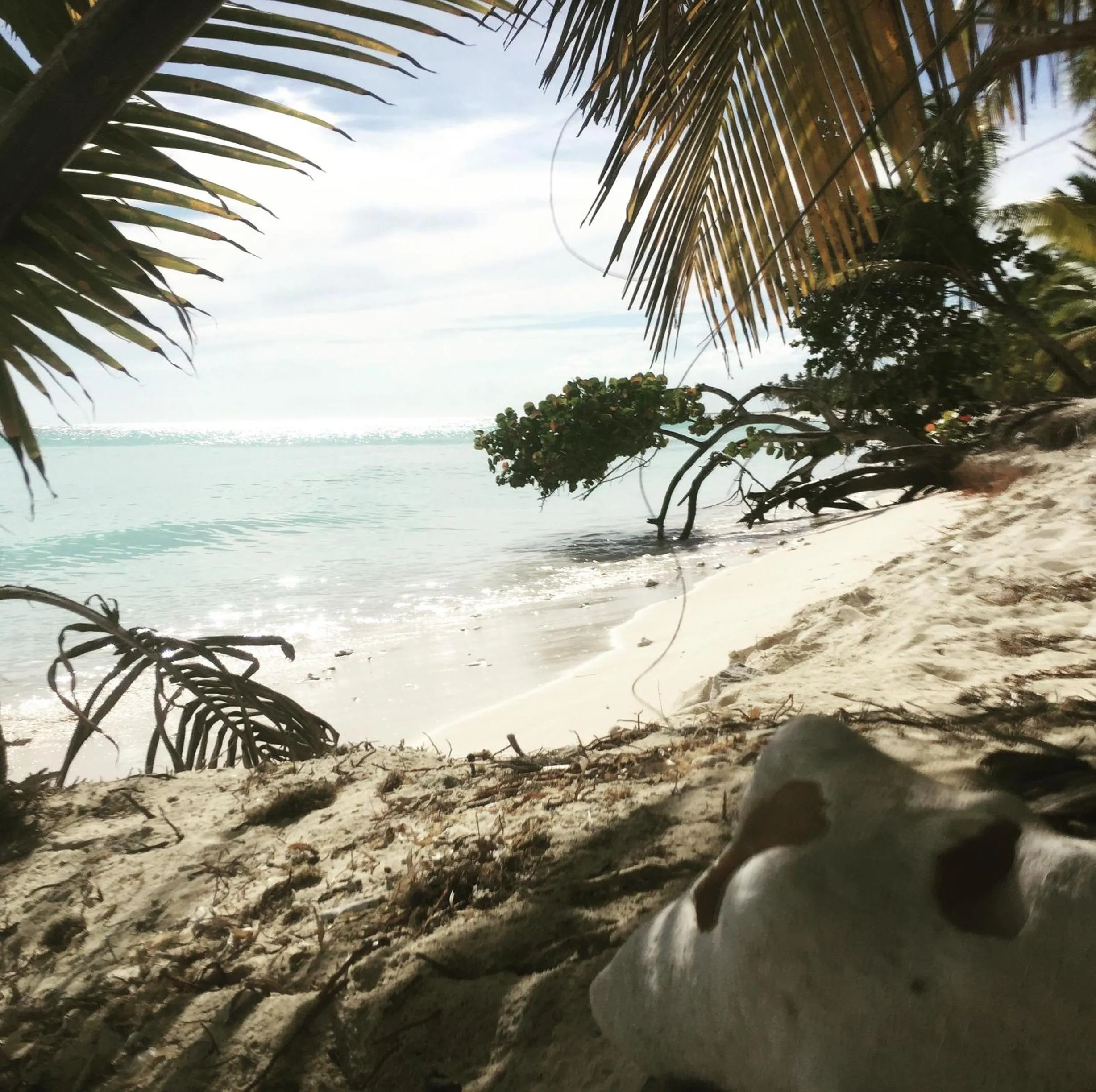 Activities in B&B Villa Luna