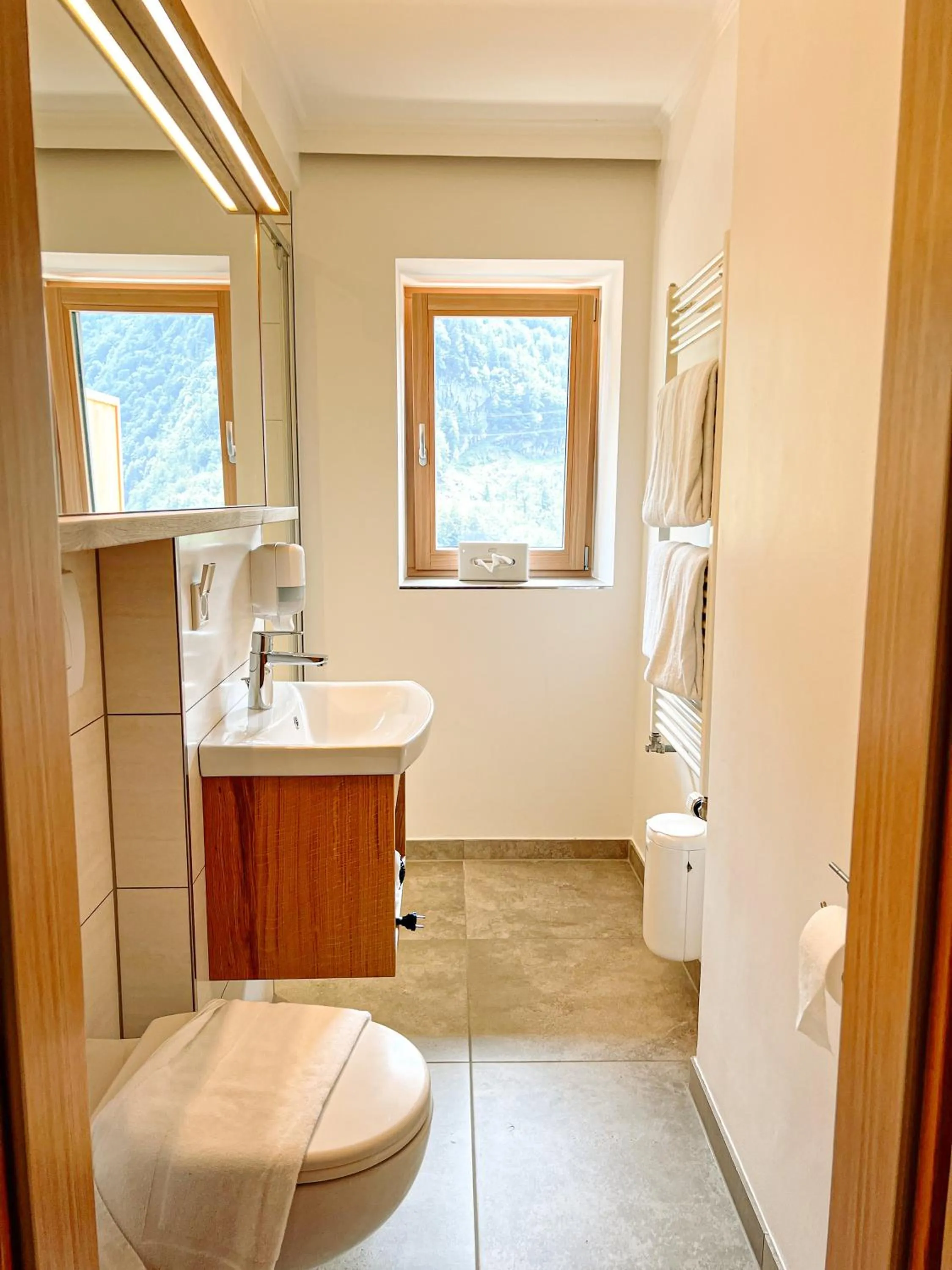 Bathroom in Hotel Pass Lueg