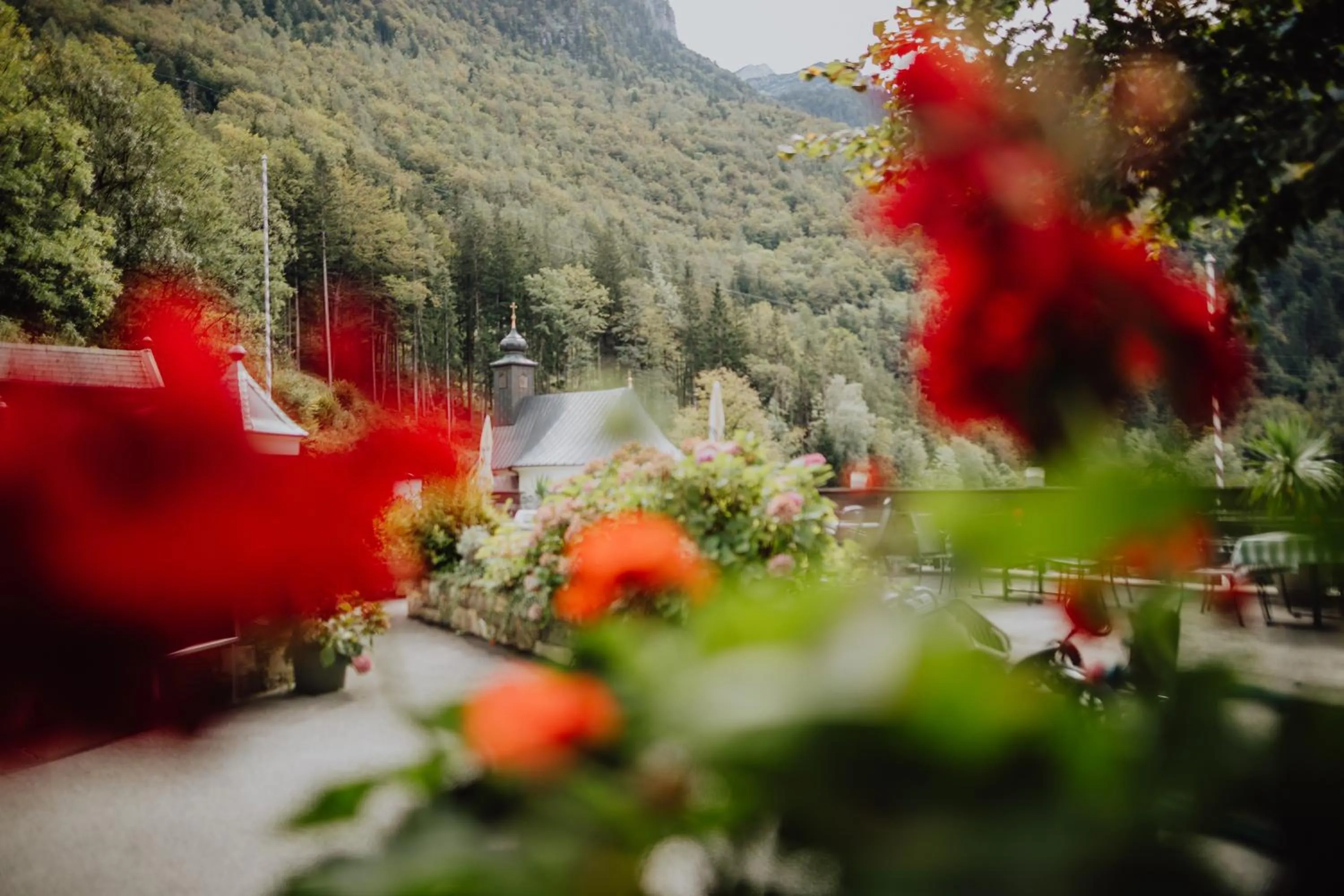 Natural landscape in Hotel Pass Lueg