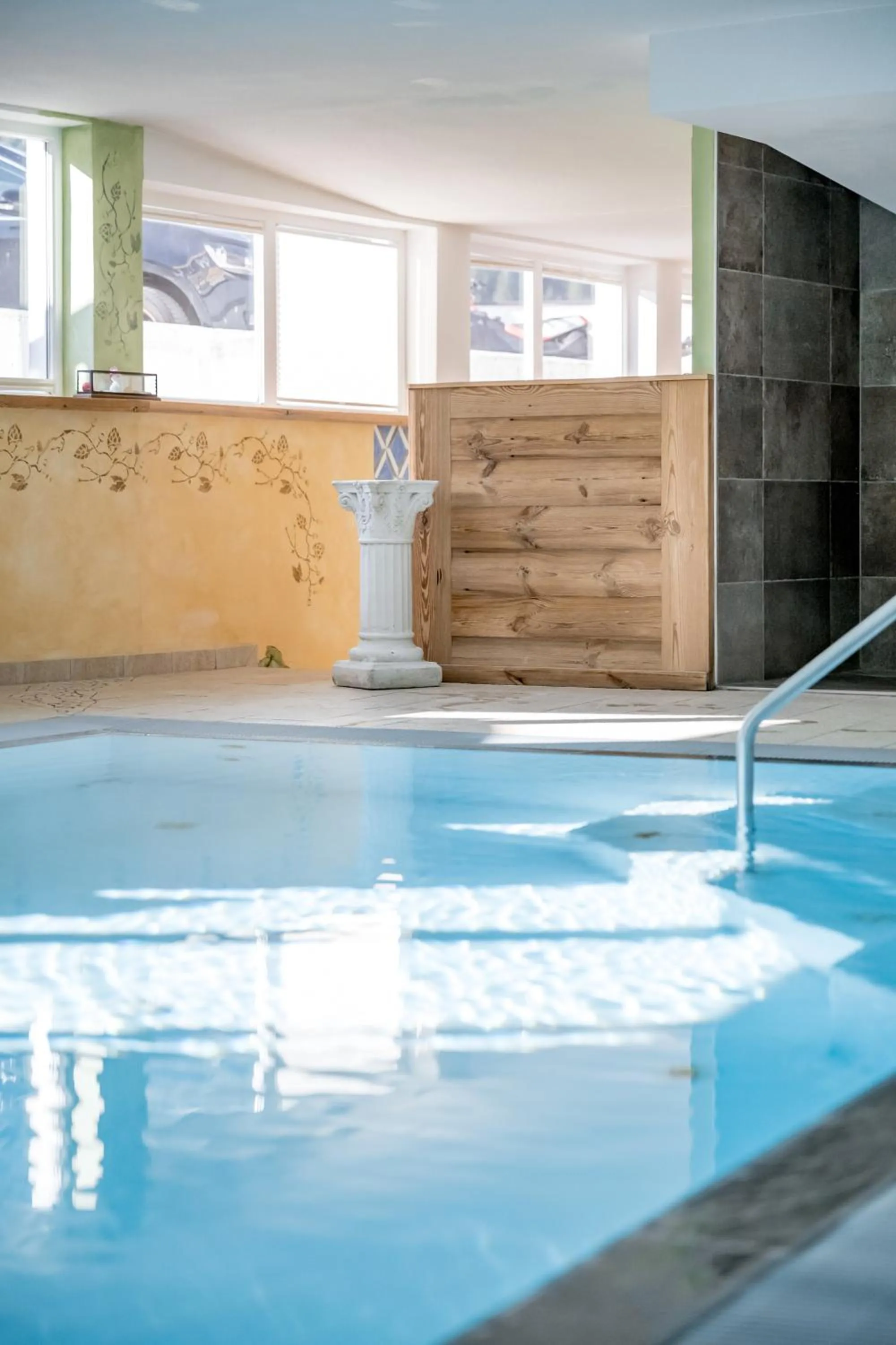 Pool view in Der Grubacher