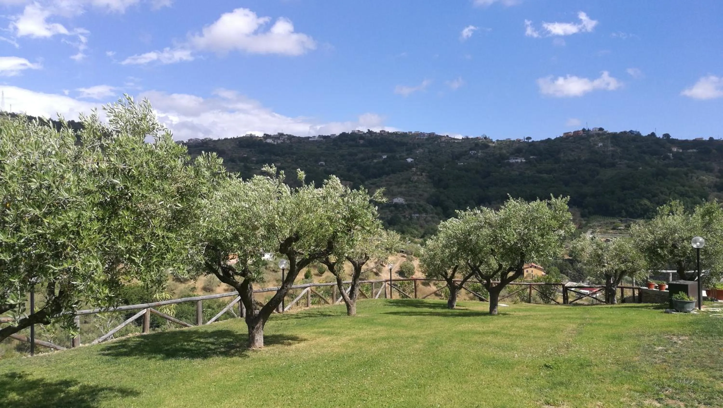 Garden view in Villa Sansivieri