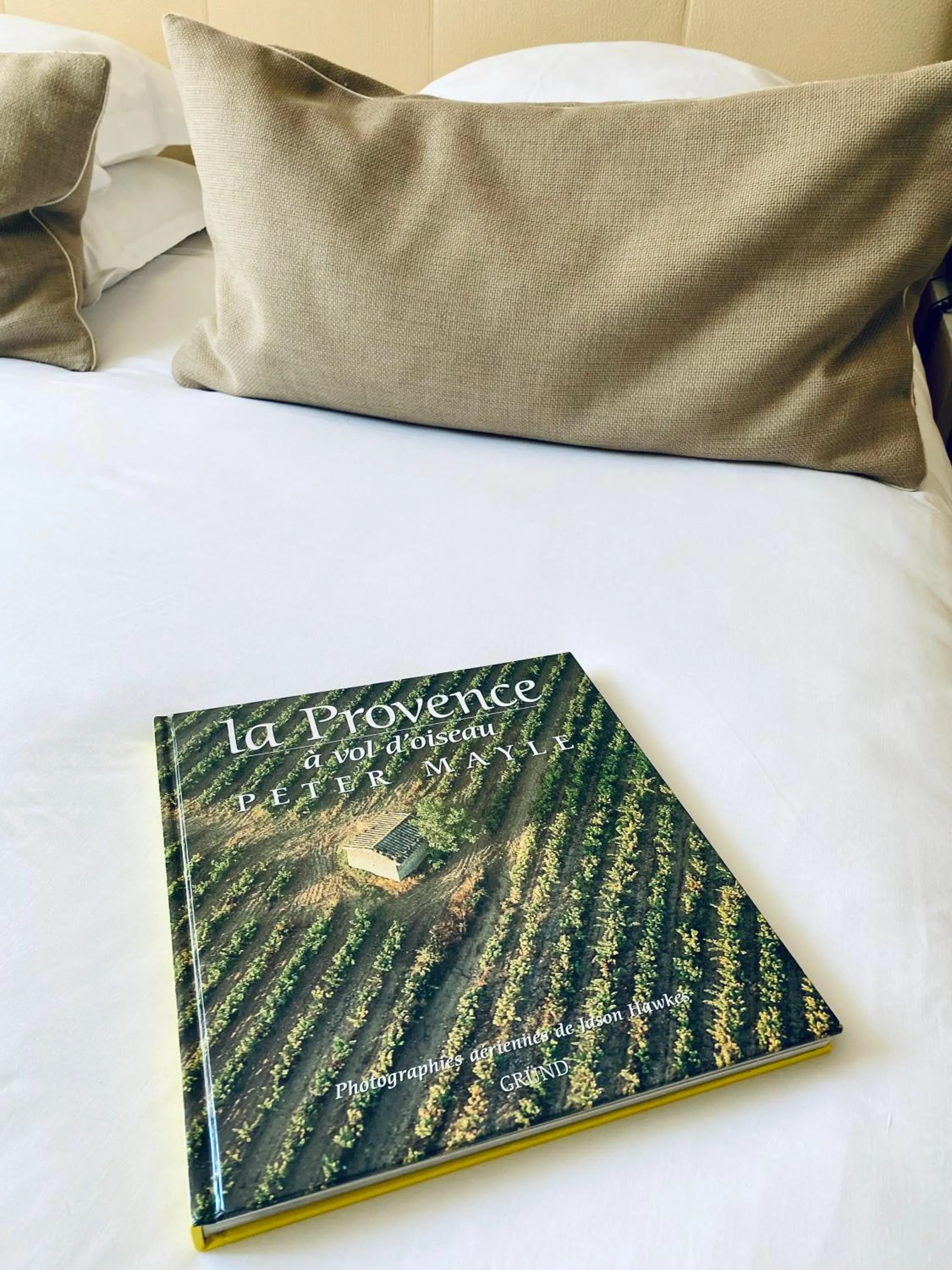 Decorative detail in Hôtel Rotonde Aix-en-Provence centre